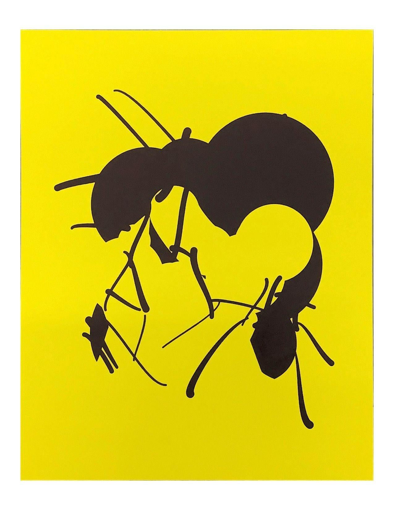 Tom White  Still-Life Print - Ant 1