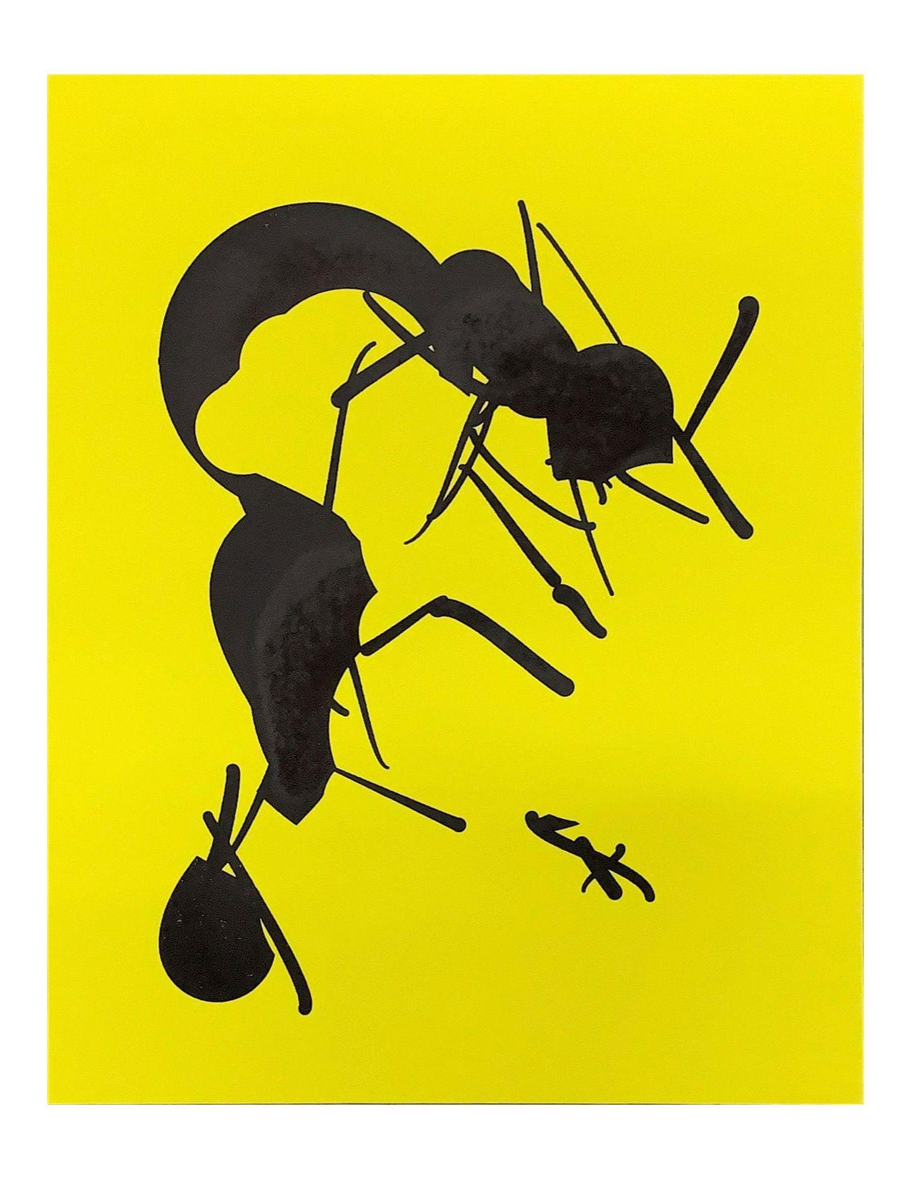 Tom White  Still-Life Print - Ant 16