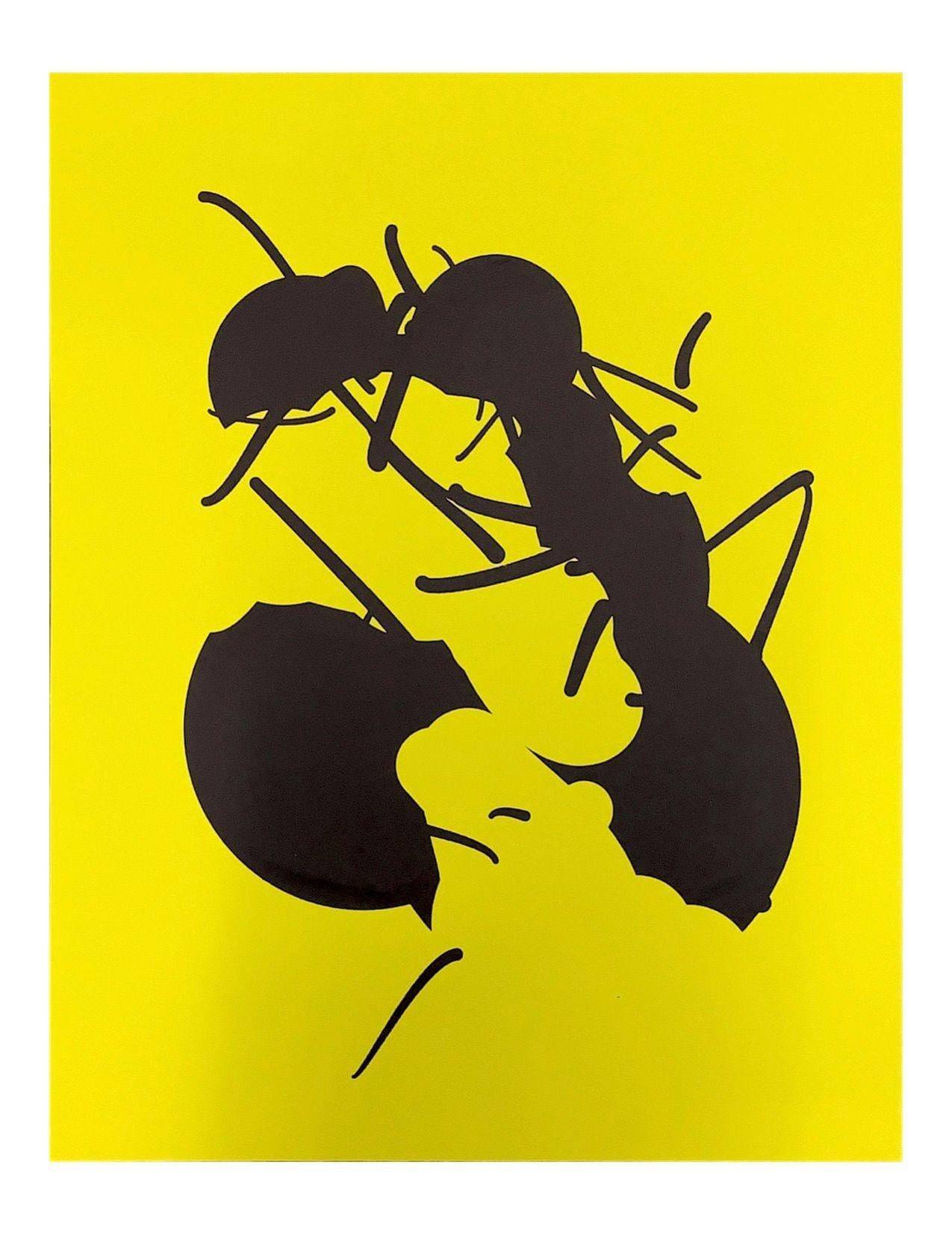 Ant 23 - Print by Tom White 