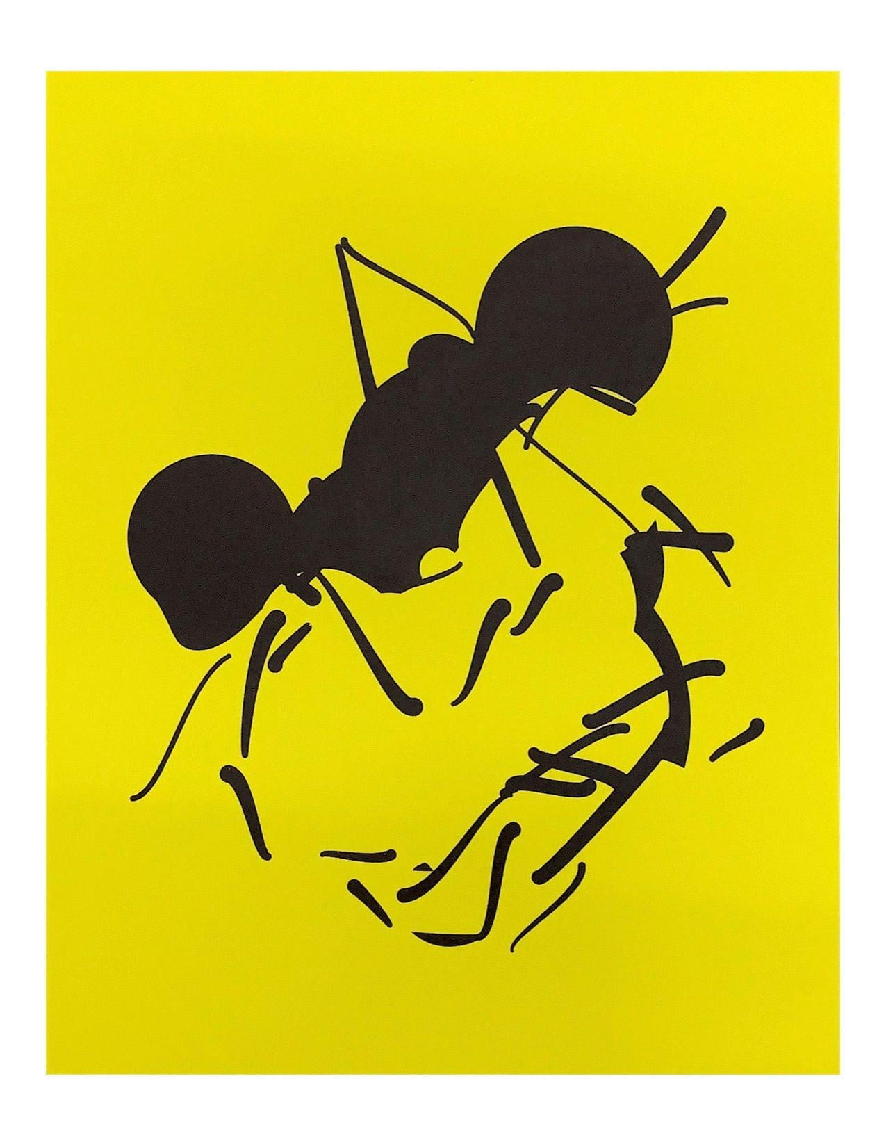 Tom White  Still-Life Print - Ant 24