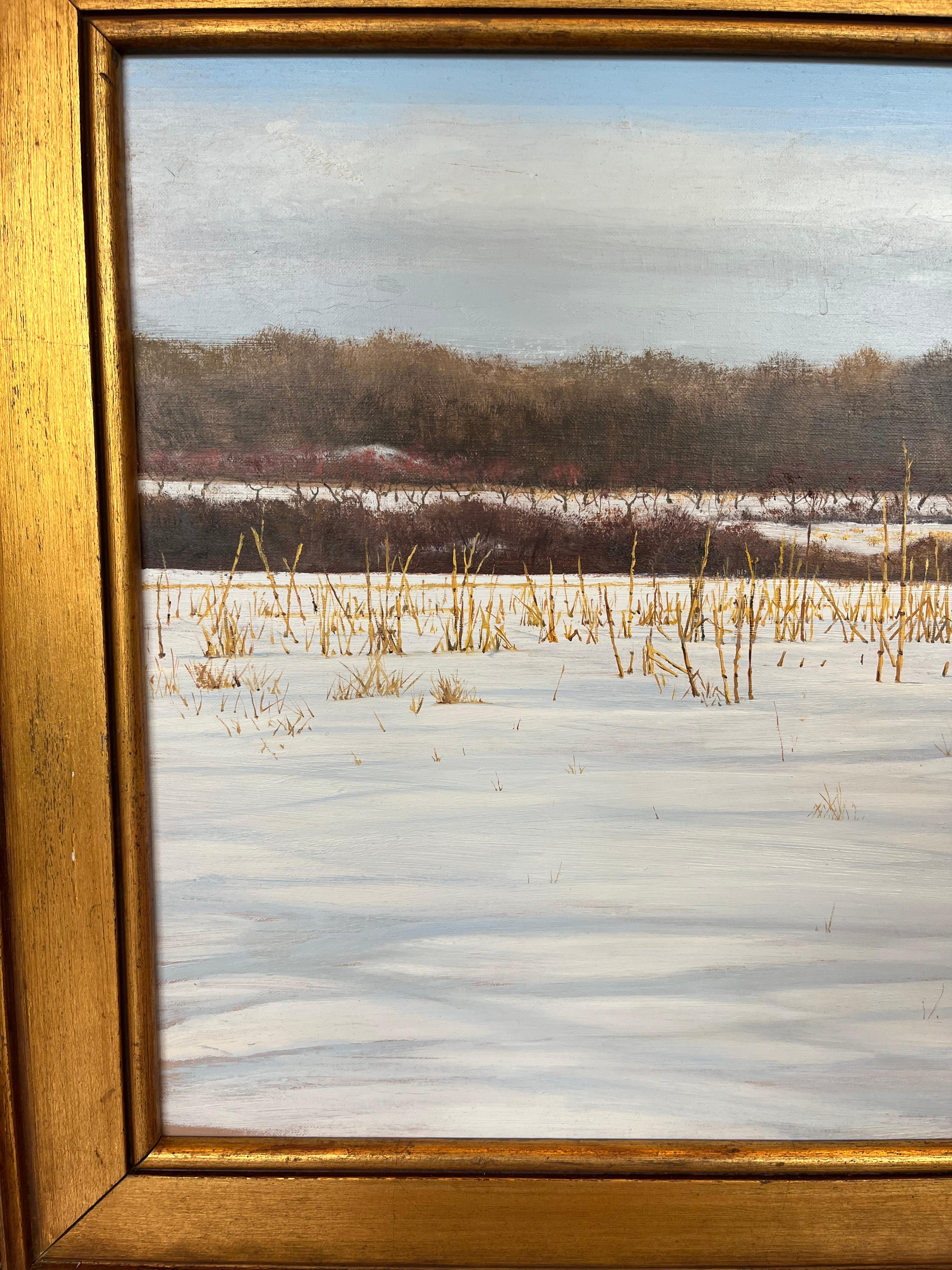 Landschaftslandschaft, Ölgemälde von Cornfield auf einer Ahorn-Bank-Farm in Connecticut  (Zeitgenössisch), Painting, von Tom Yost