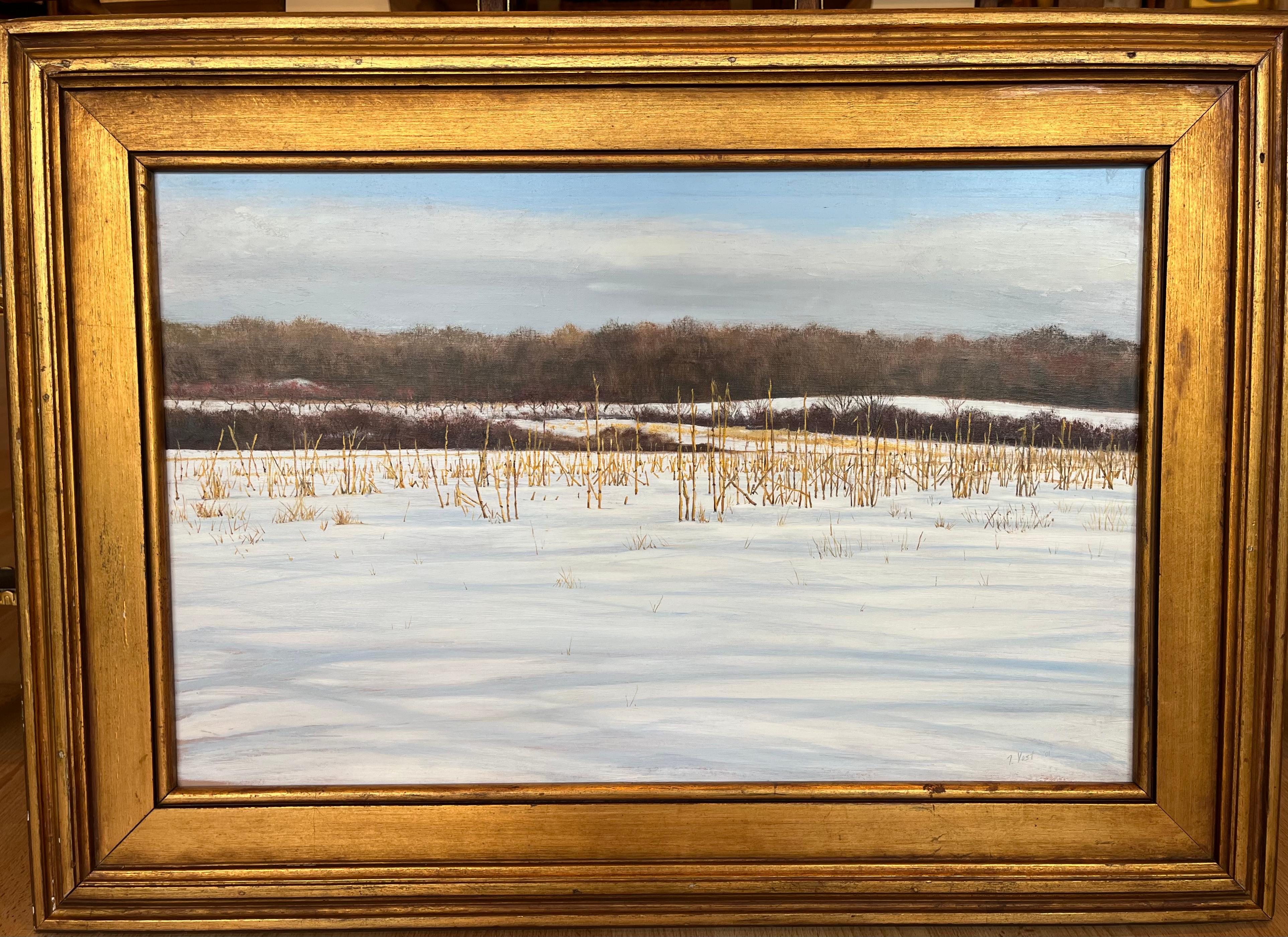 Tom Yost Landscape Painting – Landschaftslandschaft, Ölgemälde von Cornfield auf einer Ahorn-Bank-Farm in Connecticut 