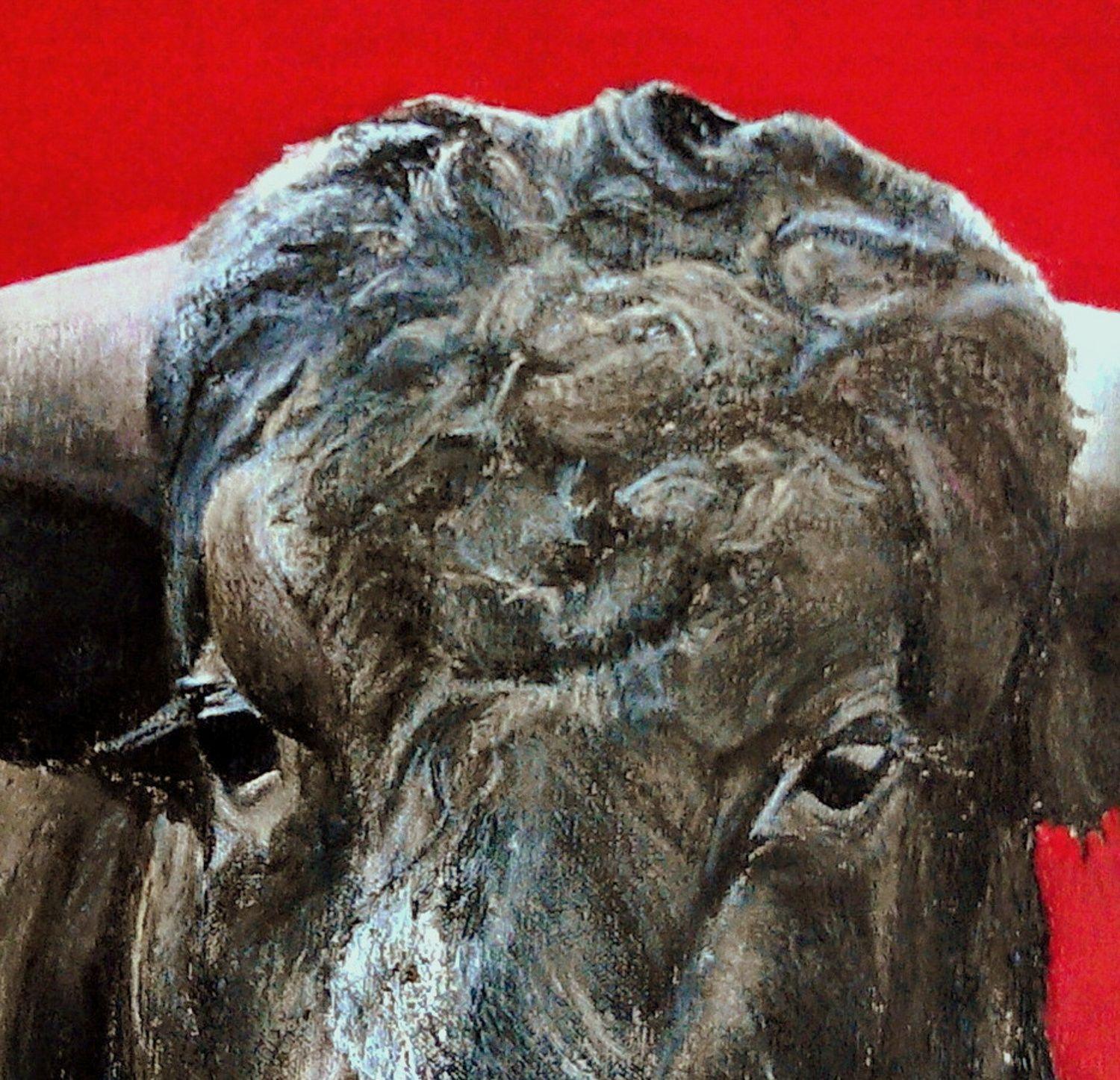 Brave bull on red, Painting, Oil on Canvas For Sale 2