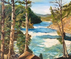 "River Rapids, Venezuela"