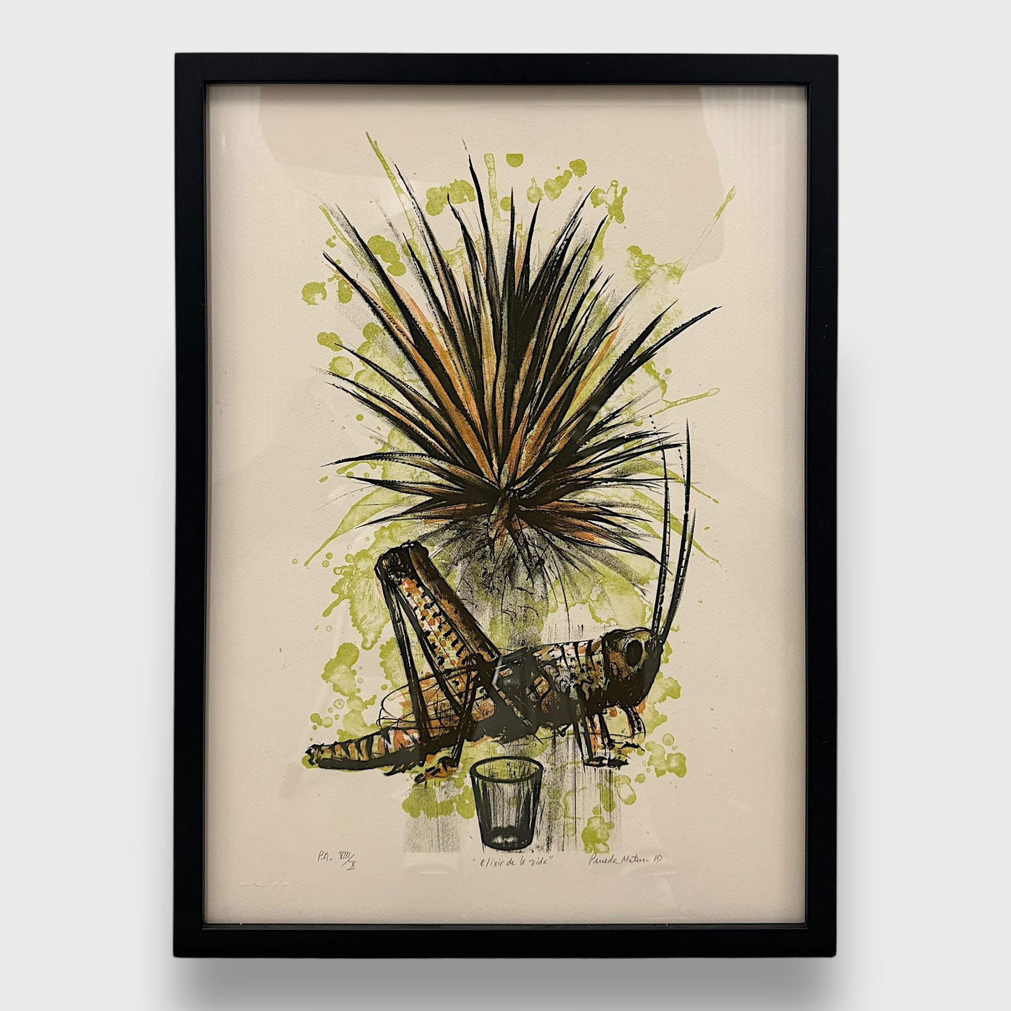 TOMAS PINEDA MATUS LIFE ELIXIR. (P.A. VIII/X) - Print by Tomas Pineda Matus 