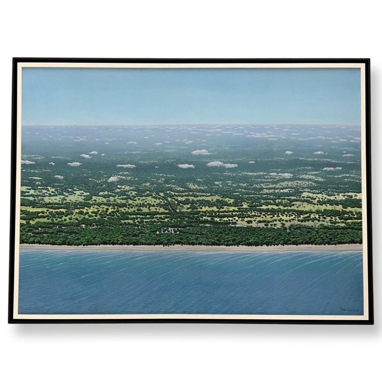 Tomás Sánchez - “Orilla con nubes” For Sale at 1stDibs
