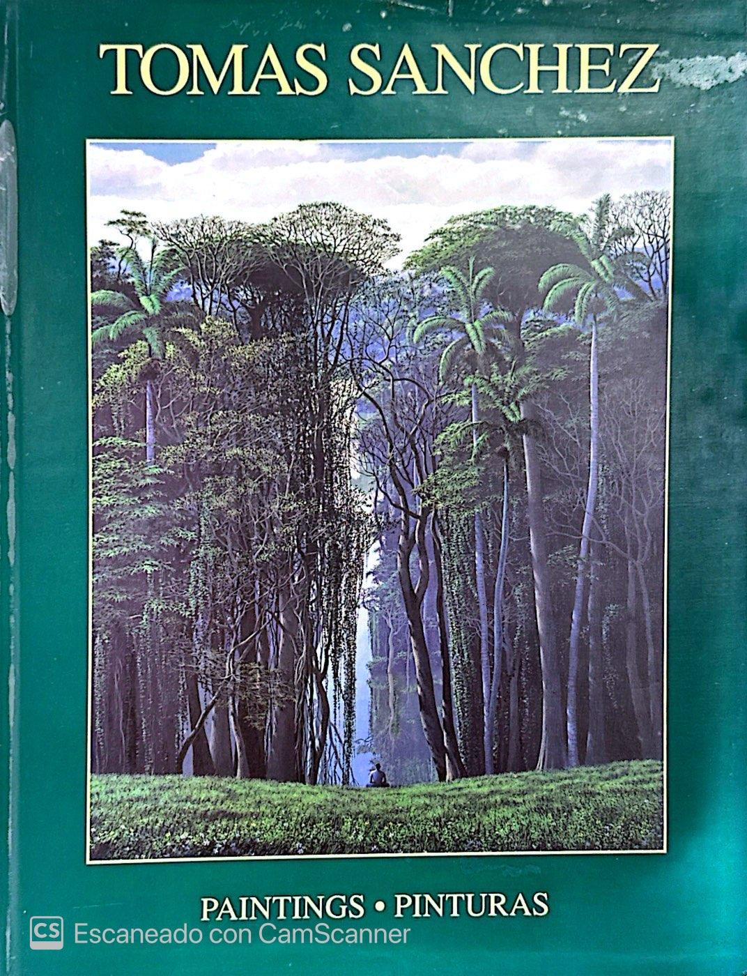 Sin título - Painting Contemporáneo de Tomás Sánchez