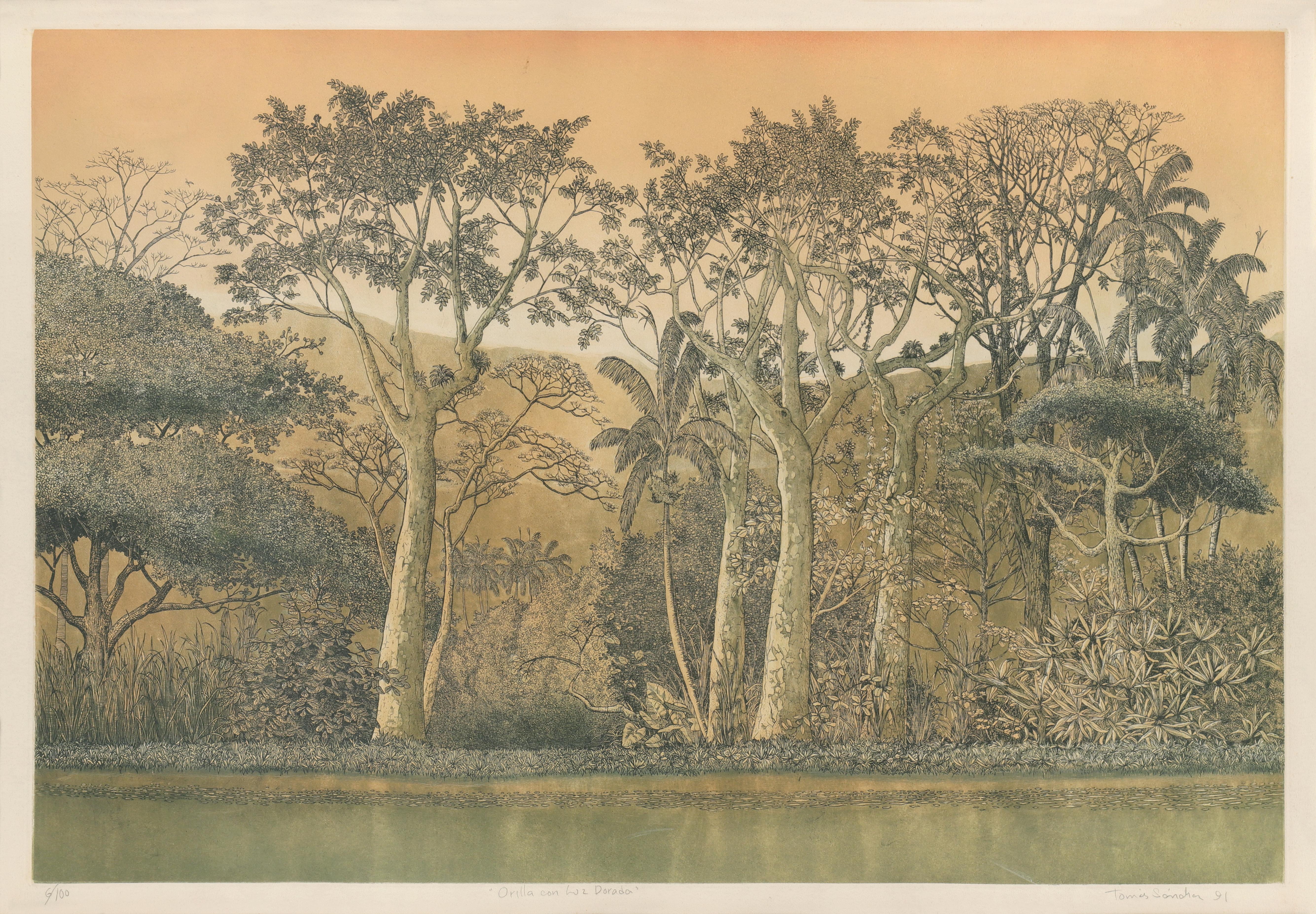Tomás Sánchez Landscape Print - Orilla con Luz Dorada