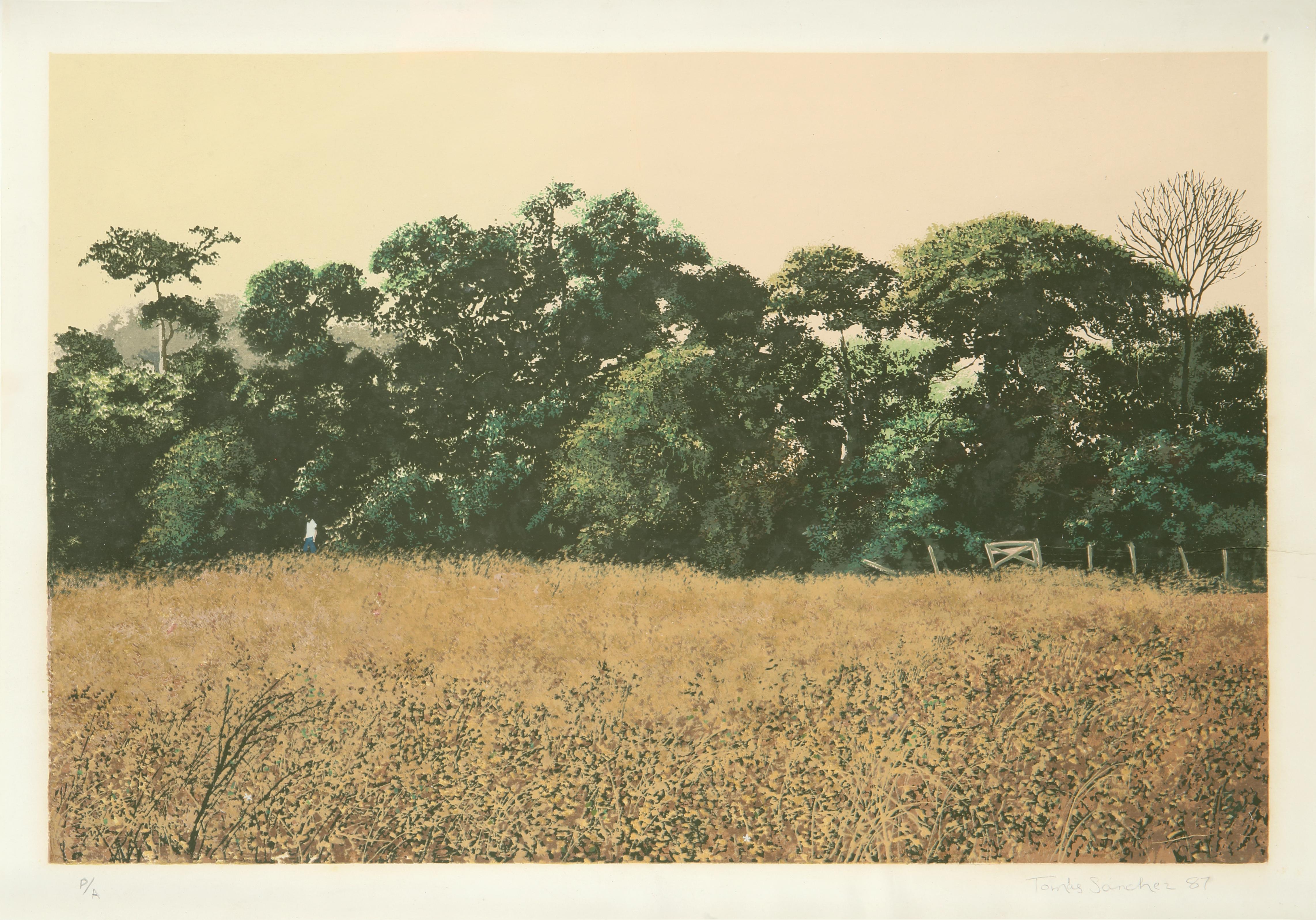 Paisaje con luz dorada - Contemporary Print by Tomás Sánchez