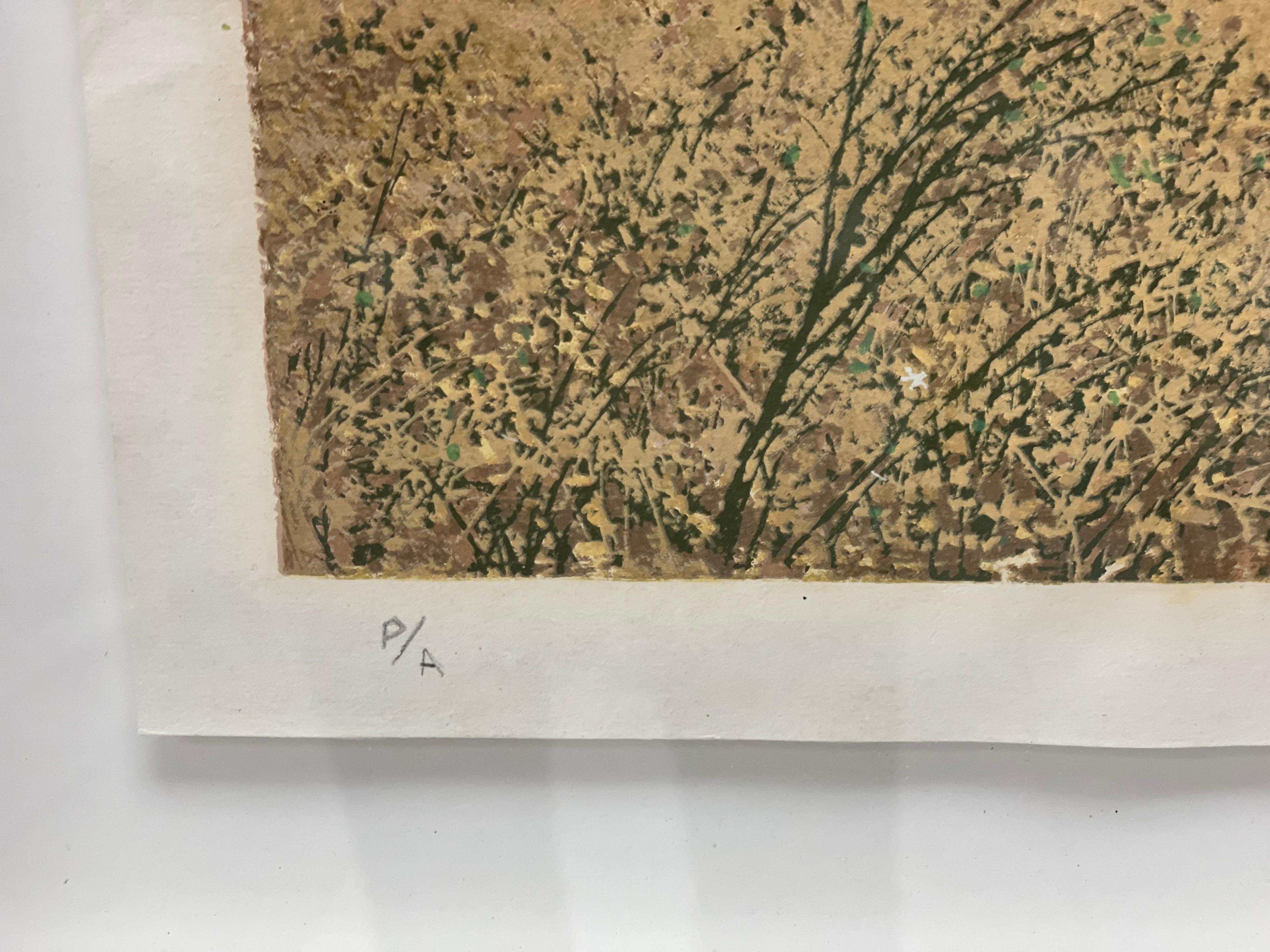 Paisaje con luz dorada - Brown Landscape Print by Tomás Sánchez