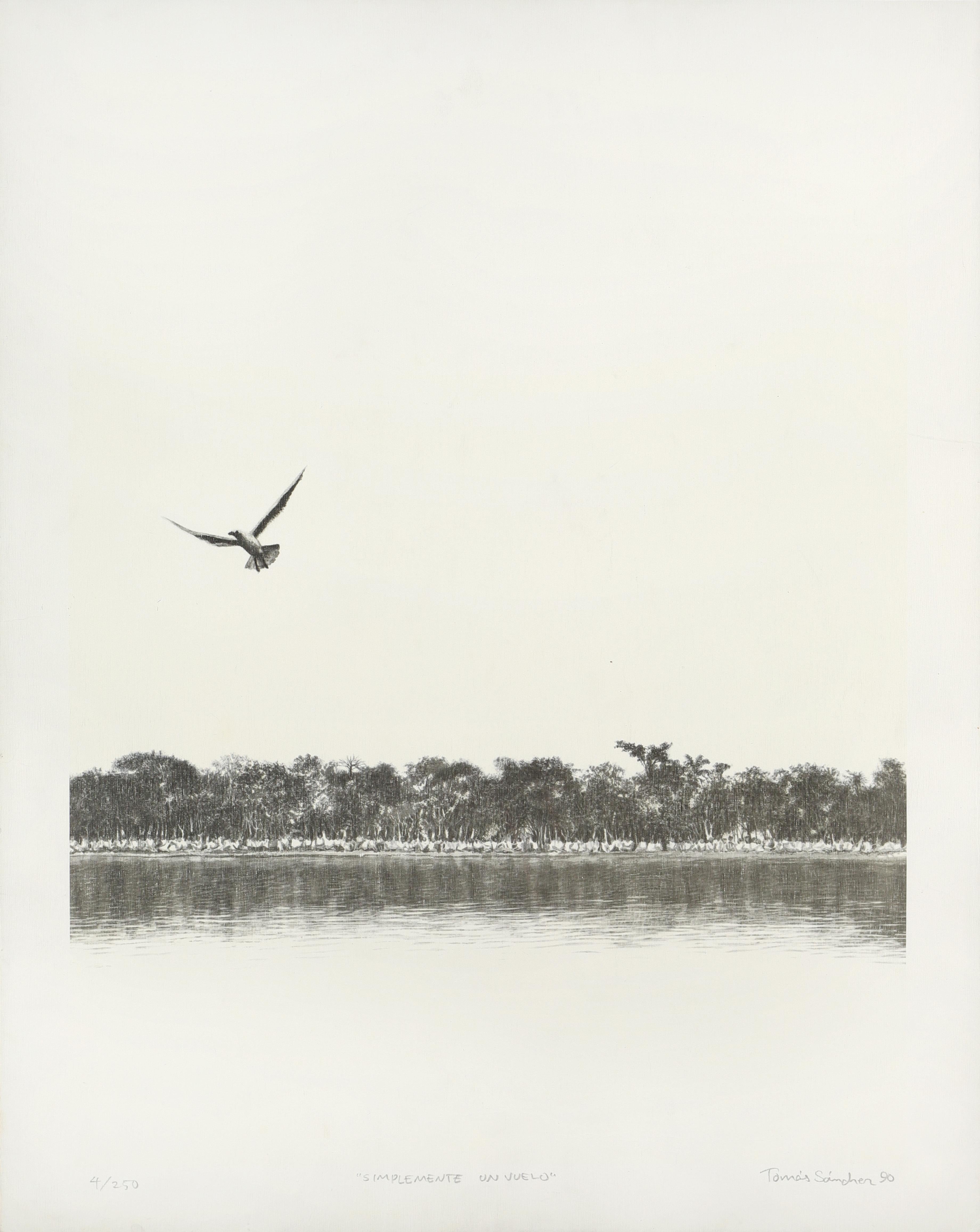 Tomás Sánchez Landscape Print - Simplemente un Vuelo