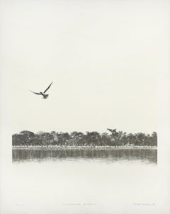Semplicemente un volo