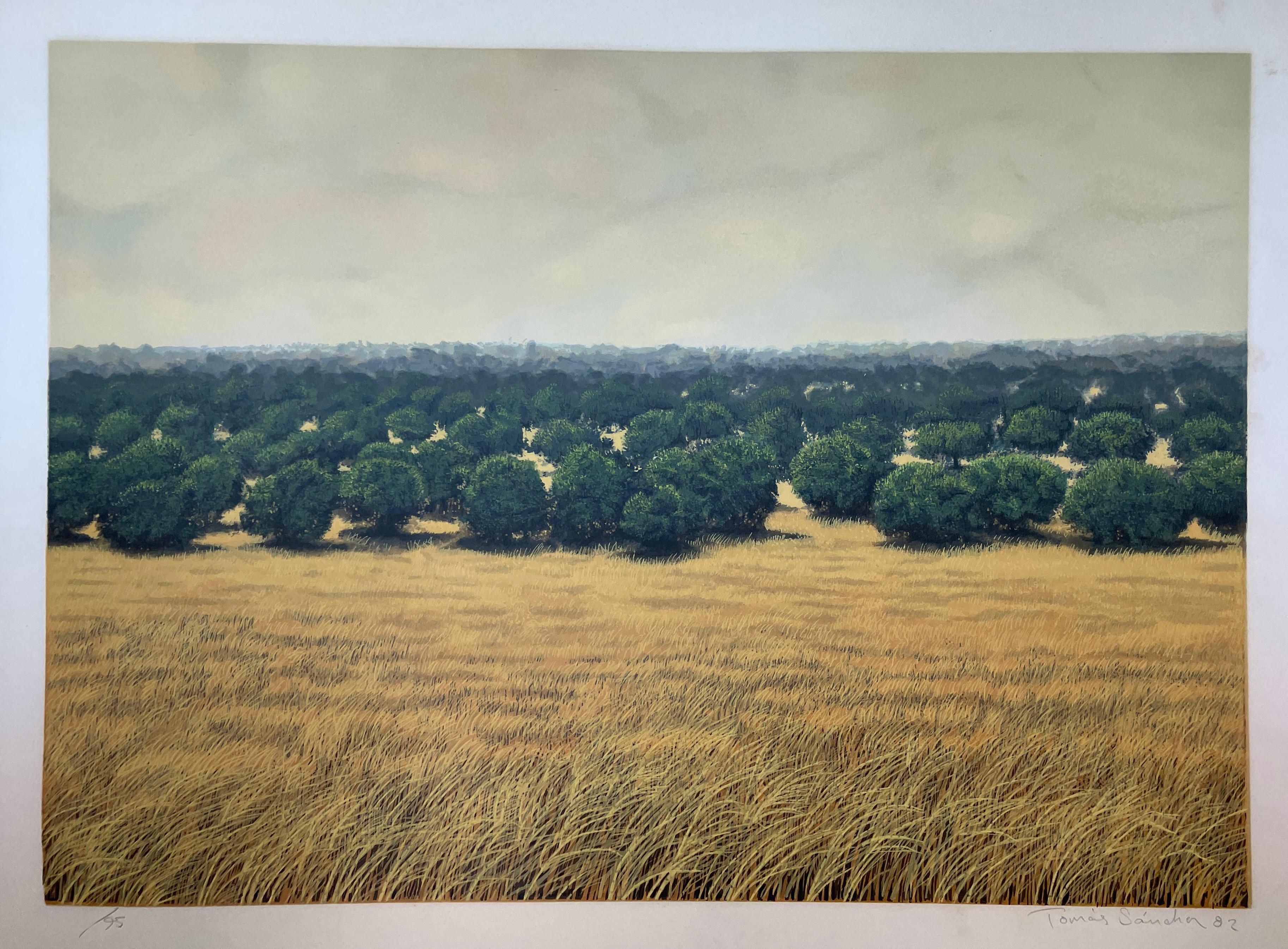 Landscape Print de Tomás Sánchez - Sin título