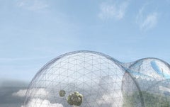 Tomás Saraceno: Biosphere 3 Limited Edition Print