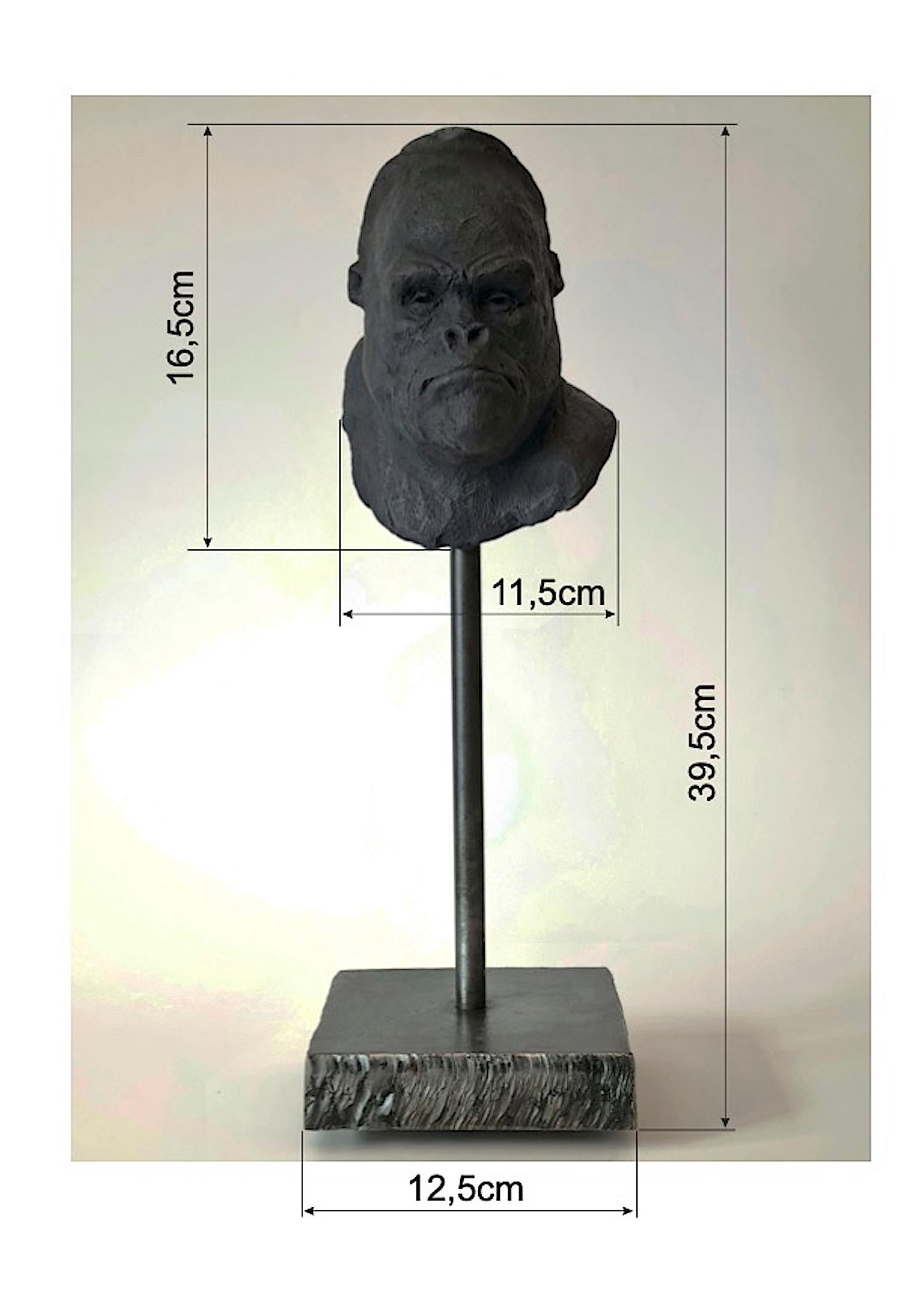 Gorilla's Head - Contemporary Handmade Bronze Sculpture, Portrait Edition 1/5 9