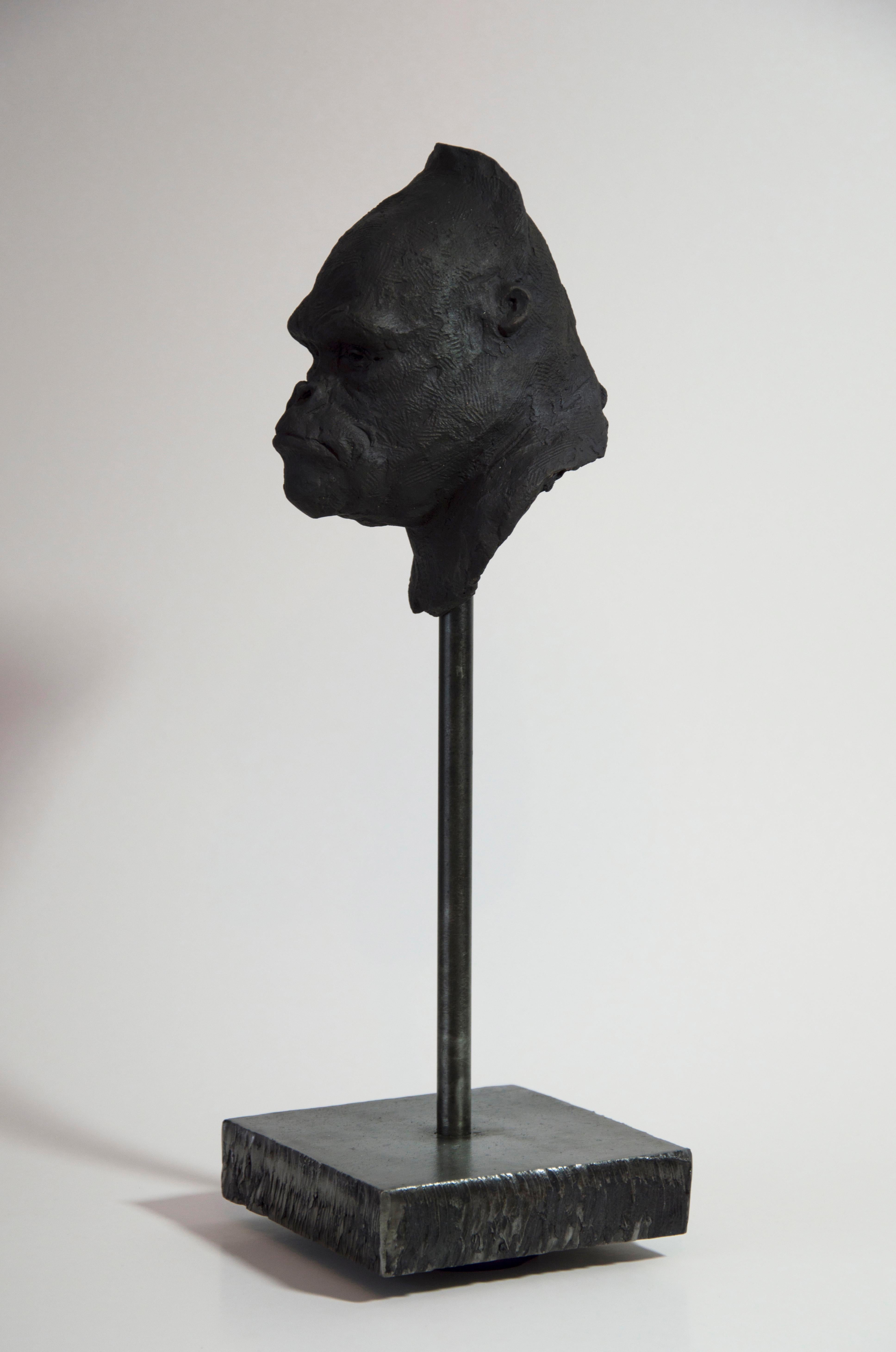 Handmade bronze sculpture, patinated, signed,  weight of the sculpture including the base 5,5kg
Material Head: Bronze,  Base of the sculpture: raw, painted steel
Limited Edition 1/5

Tomasz Bielak born in Lublin in 1967. He graduated  of The Academy