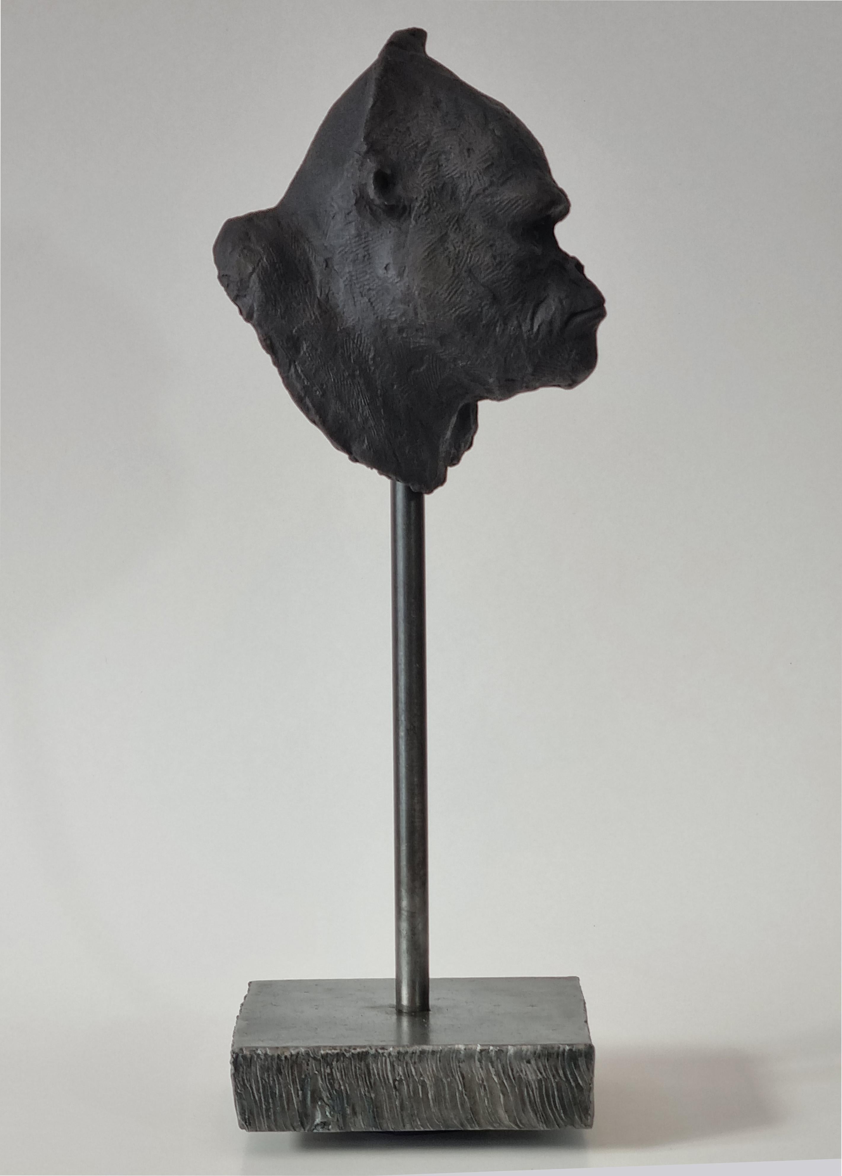 Gorilla's Head - Contemporary Handmade Bronze Sculpture, Portrait Edition 1/5 2