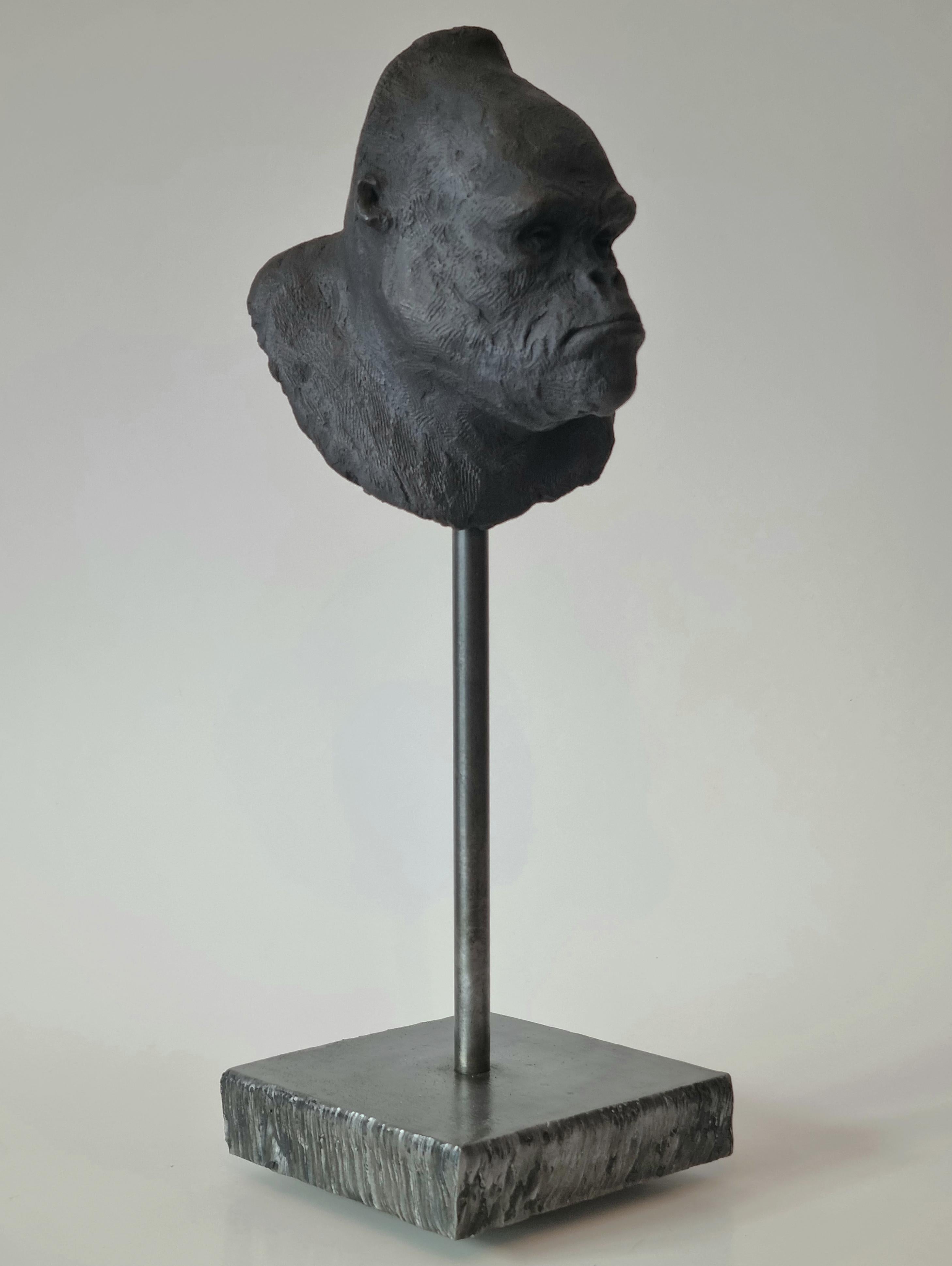 Gorilla's Head - Contemporary Handmade Bronze Sculpture, Portrait Edition 1/5 3