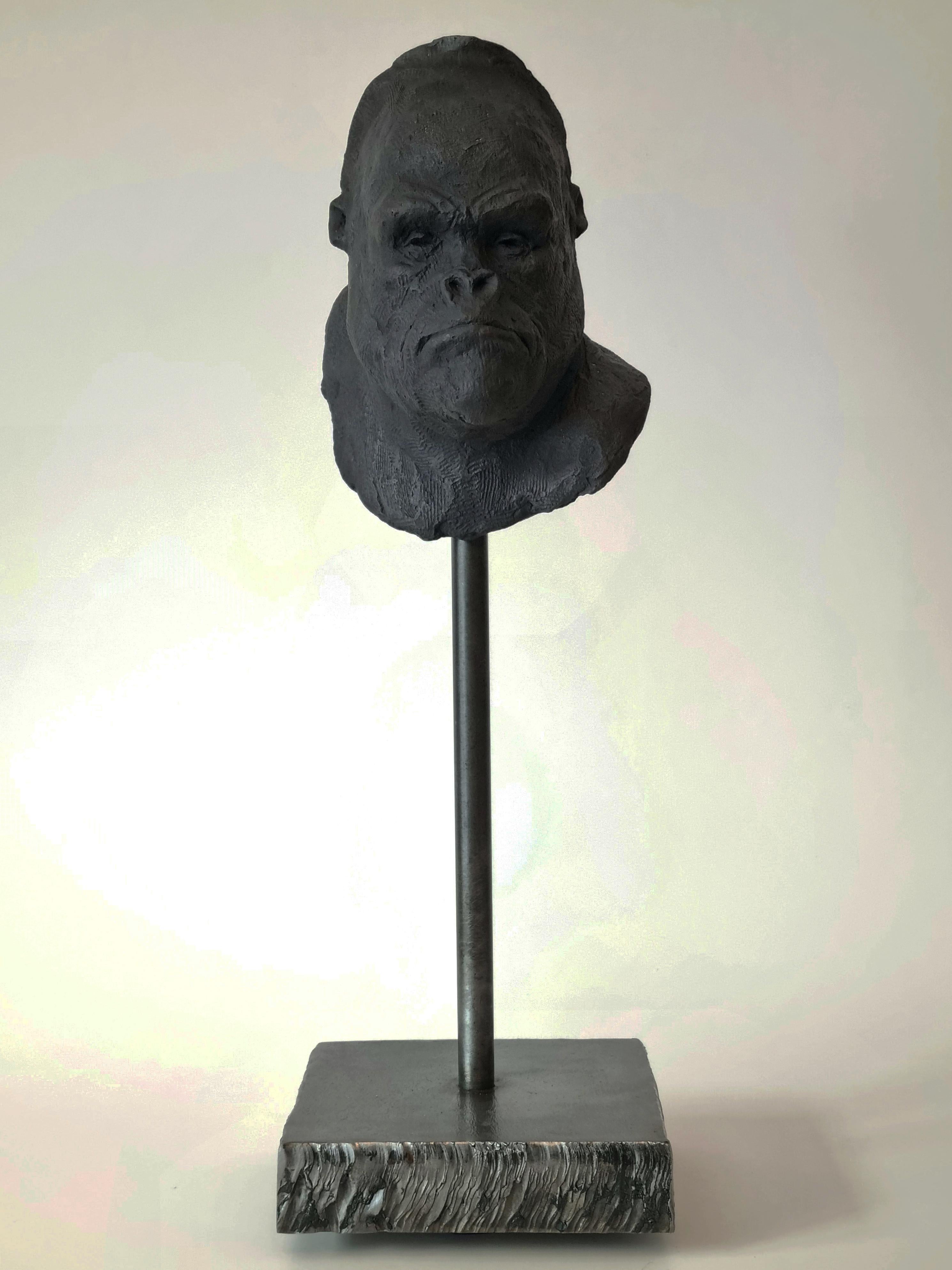 Gorilla's Head - Contemporary Handmade Bronze Sculpture, Portrait Edition 1/5 4