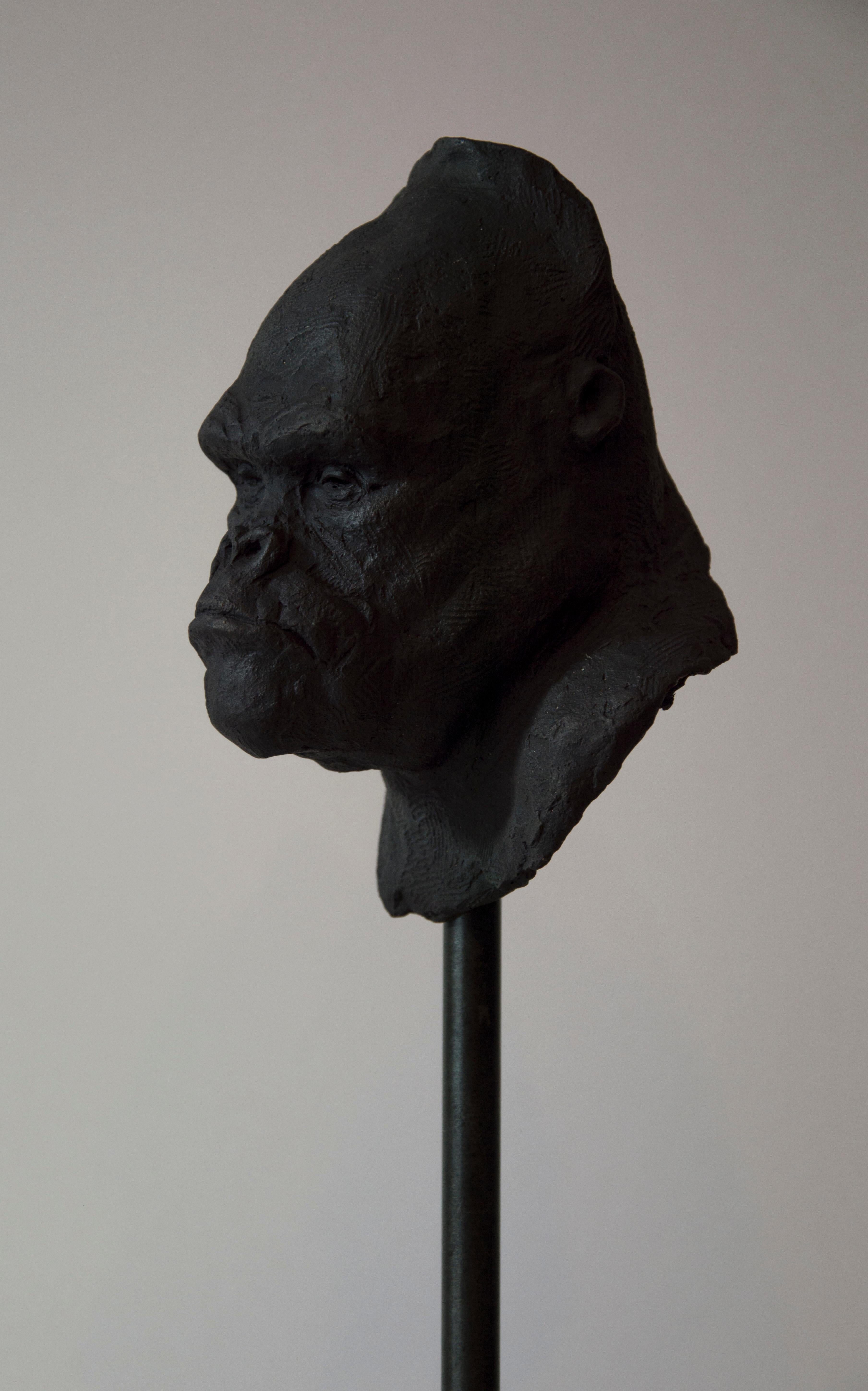 Gorilla's Head - Contemporary Handmade Bronze Sculpture, Portrait Edition 1/5 5