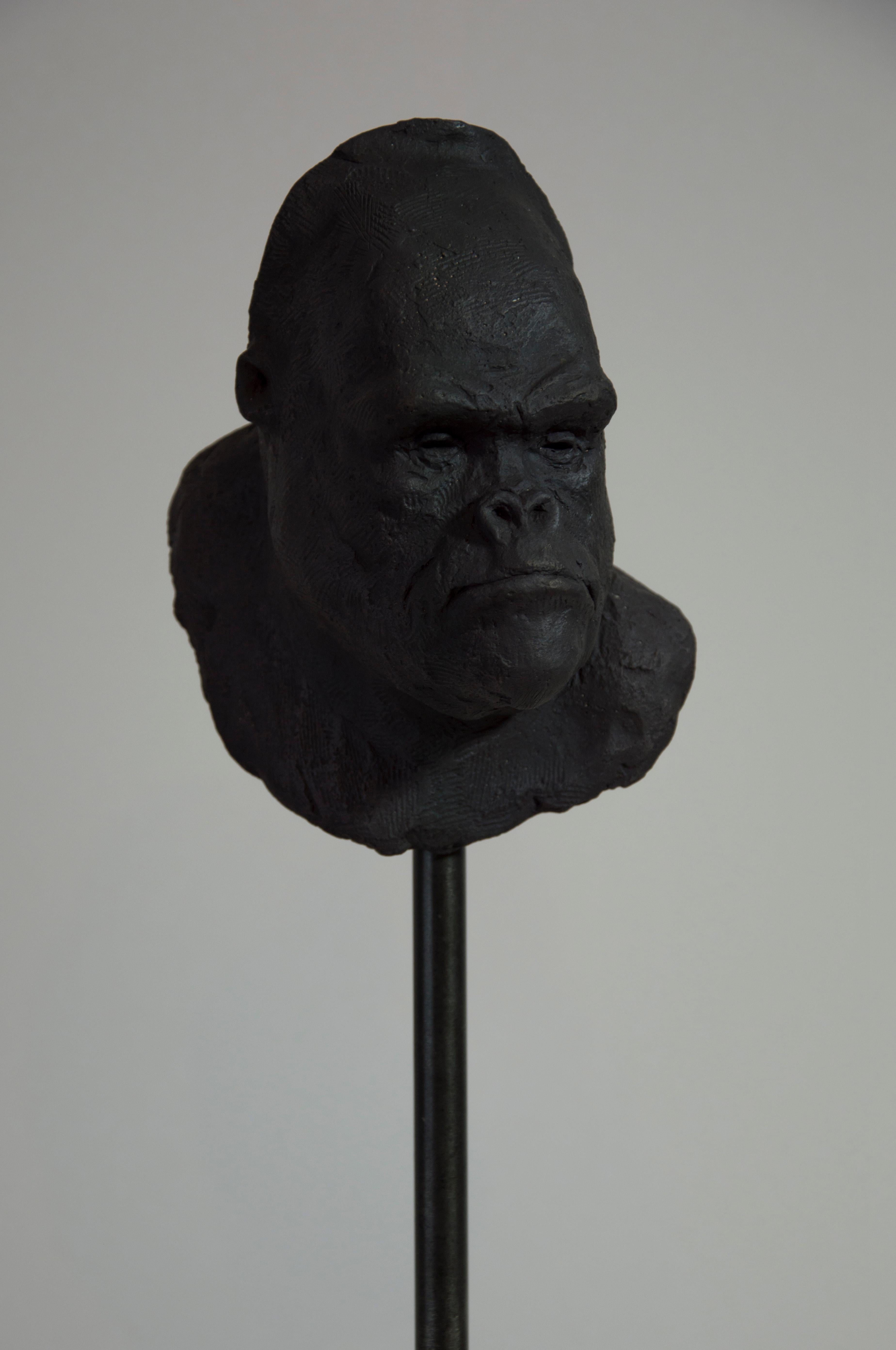Gorilla's Head - Contemporary Handmade Bronze Sculpture, Portrait Edition 1/5 6