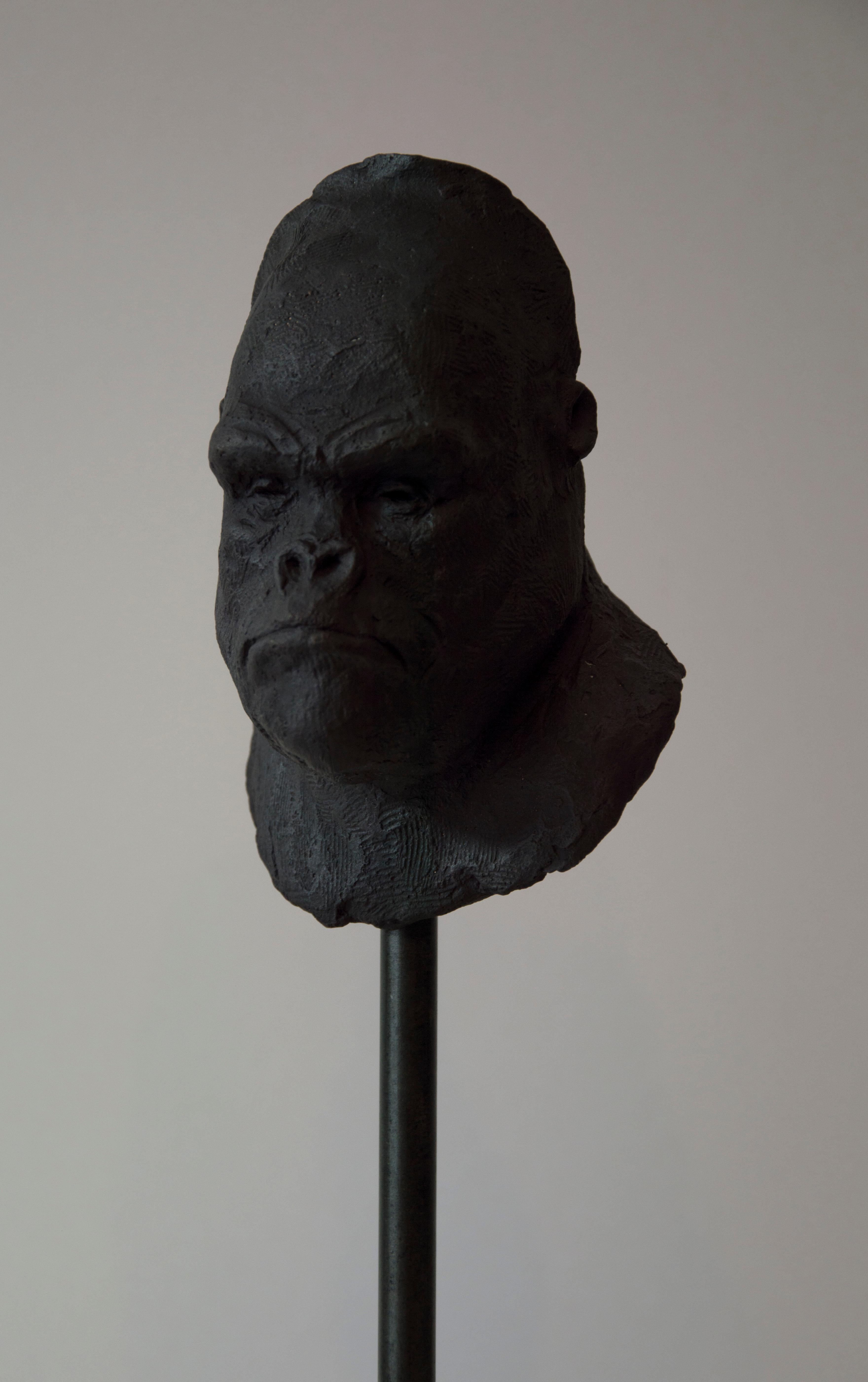Gorilla's Head - Contemporary Handmade Bronze Sculpture, Portrait Edition 1/5 7