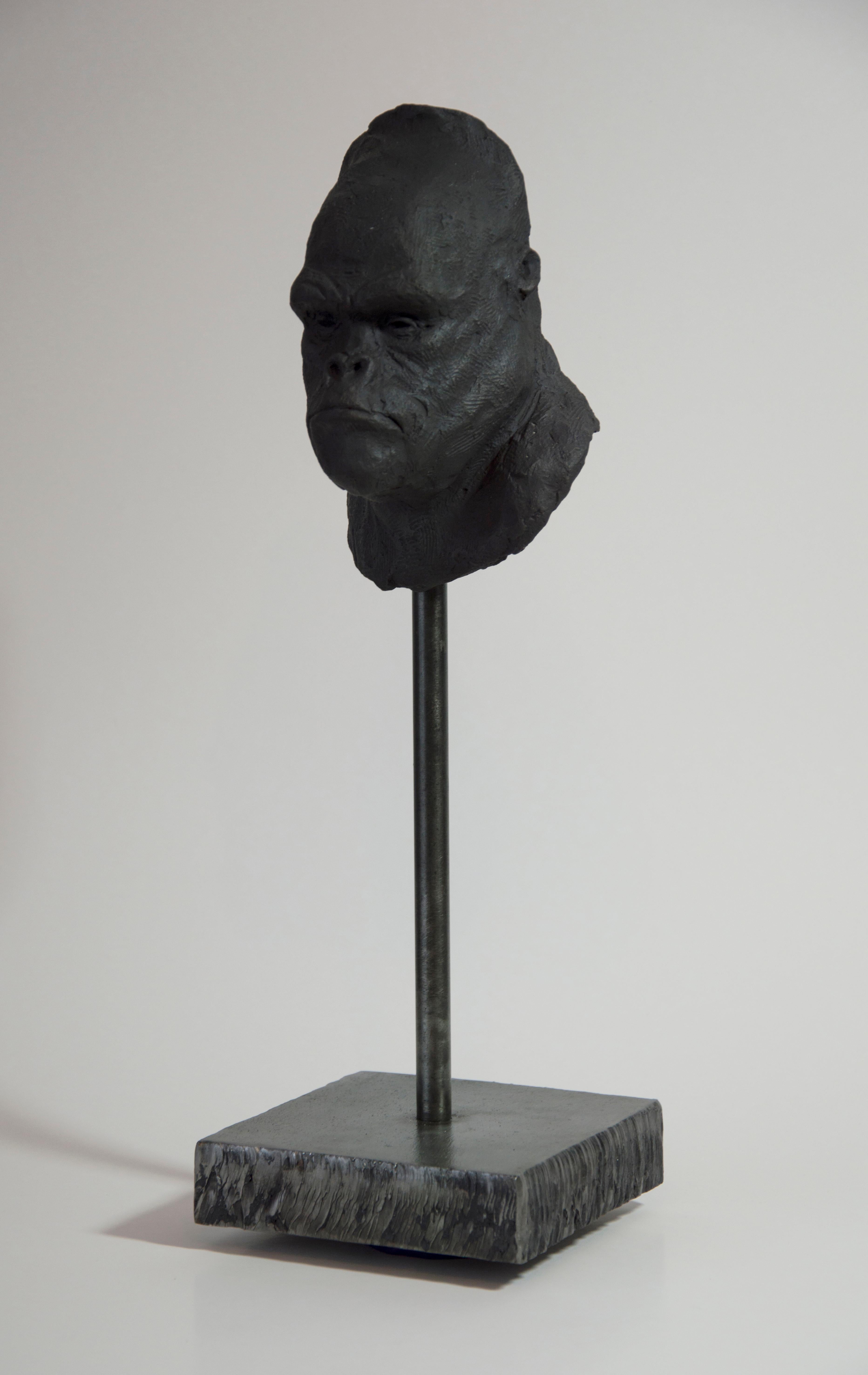 Gorilla's Head - Contemporary Handmade Bronze Sculpture, Portrait Edition 1/5