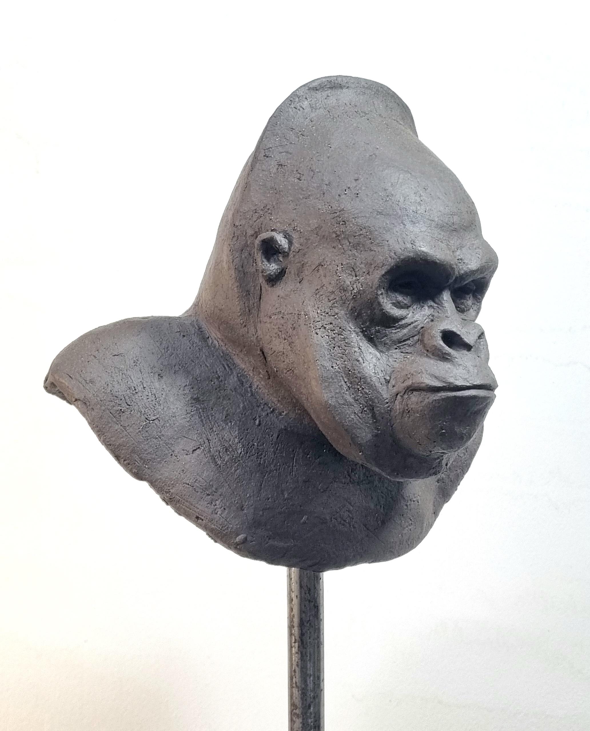 Mountain Gorilla 2 - Contemporary Unique Handmade Ceramics Sculpture, Portrait  For Sale 1