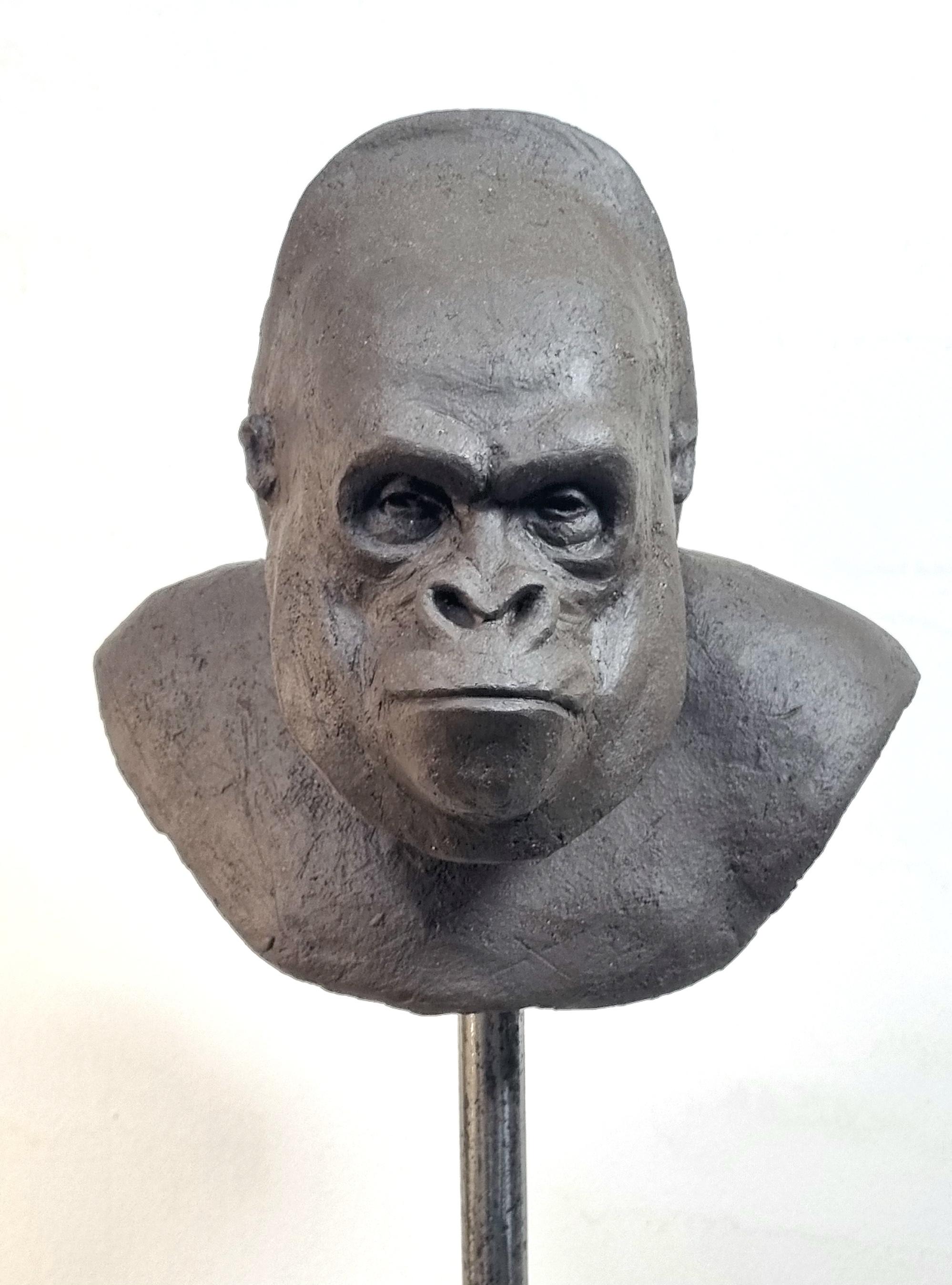 Mountain Gorilla 2 - Contemporary Unique Handmade Ceramics Sculpture, Portrait  For Sale 2