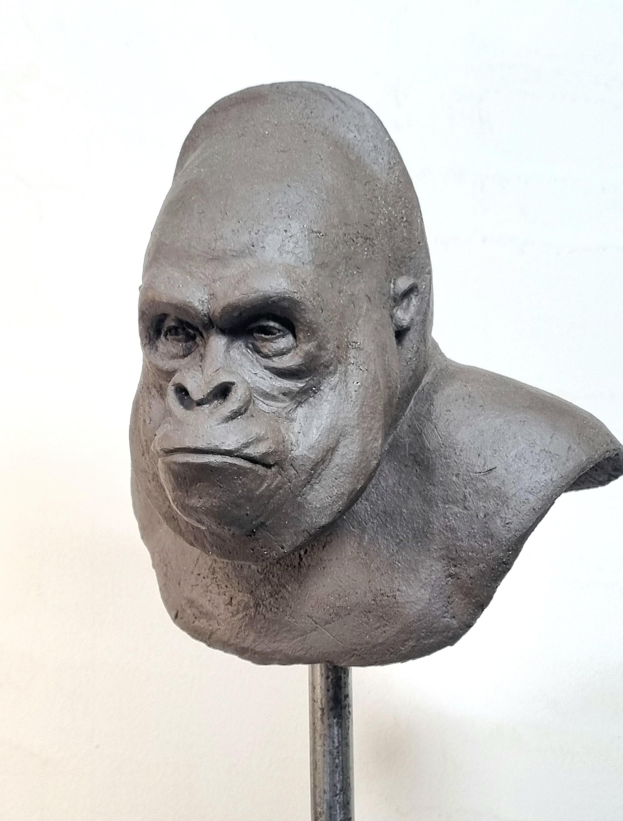 Mountain Gorilla 2 - Contemporary Unique Handmade Ceramics Sculpture, Portrait  For Sale 3