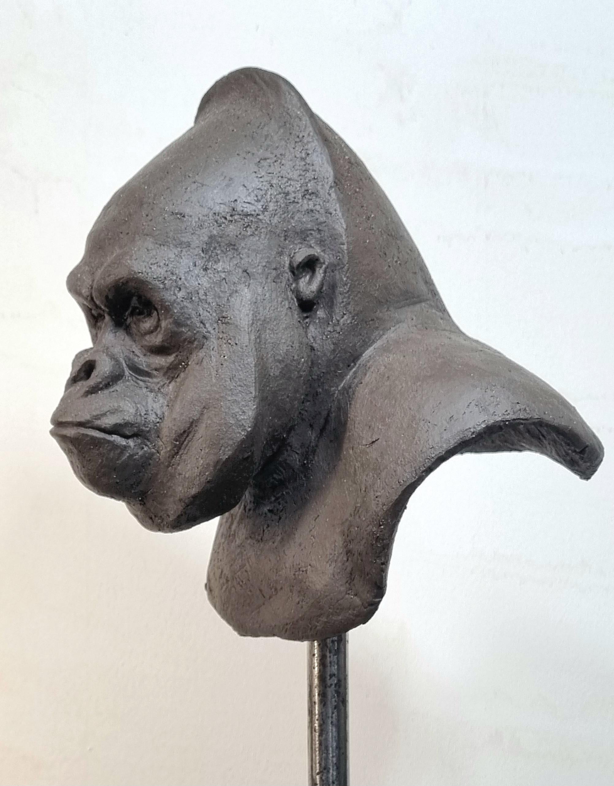Mountain Gorilla 2 - Contemporary Unique Handmade Ceramics Sculpture, Portrait  For Sale 4