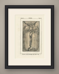 Tomb Monument to the Wife of the Sculptor Nahl, Swiss Lithograph, 1842