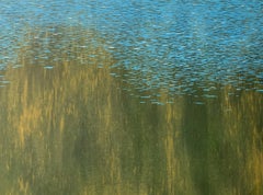 Ruido. Pintura acrílica, Paisaje acuático y abstracto, Verde y azul, Artista polaco