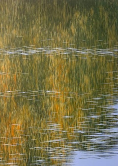 Ruido. Pintura acrílica, Paisaje acuático y abstracto, Verde y azul, Artista polaco