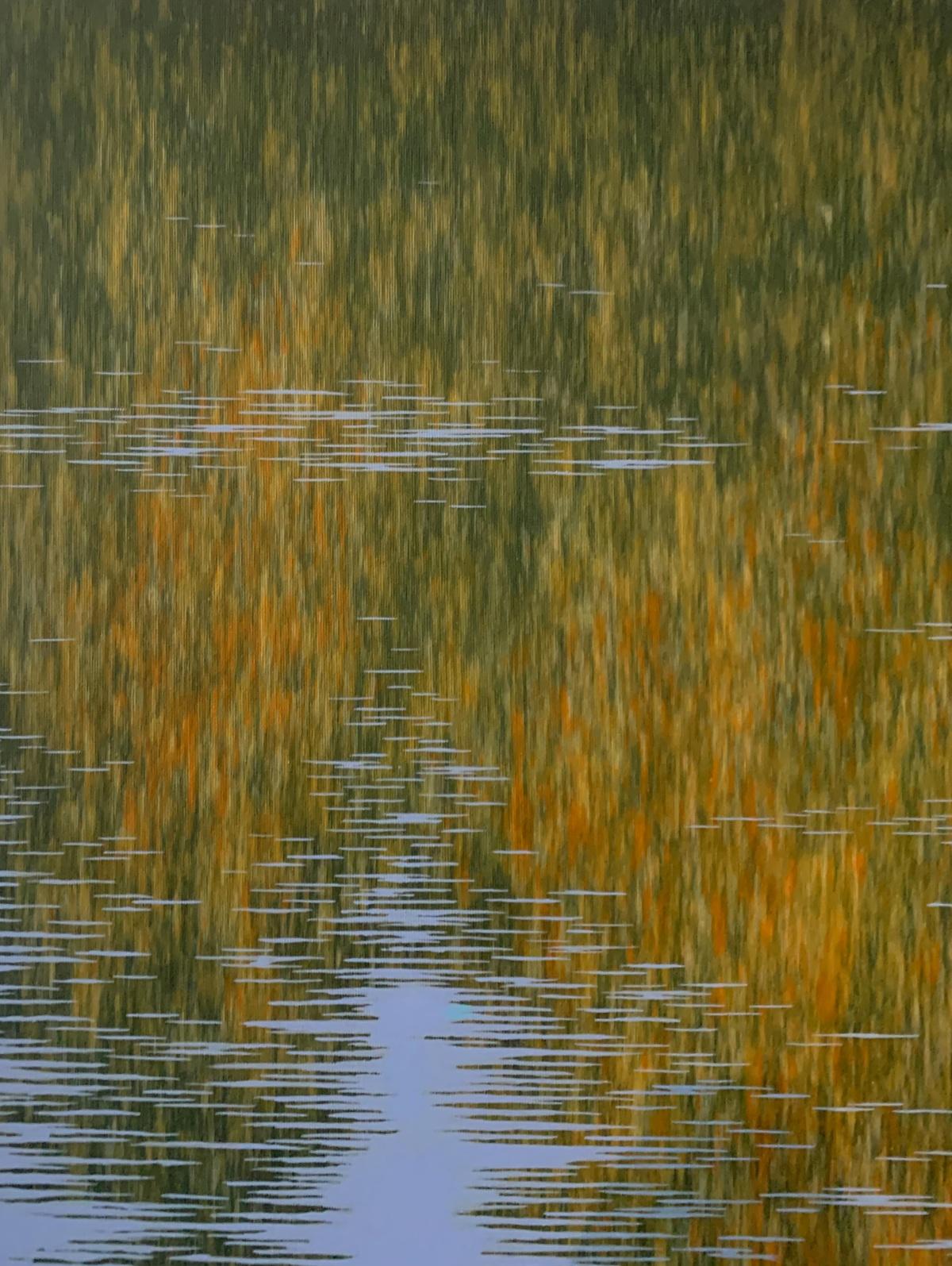 Rumore. Pittura ad acrilico, Paesaggio acquatico e astratto, Greene & Greene, artista polacco - Abstract Painting Marrone di Tomek Mistak