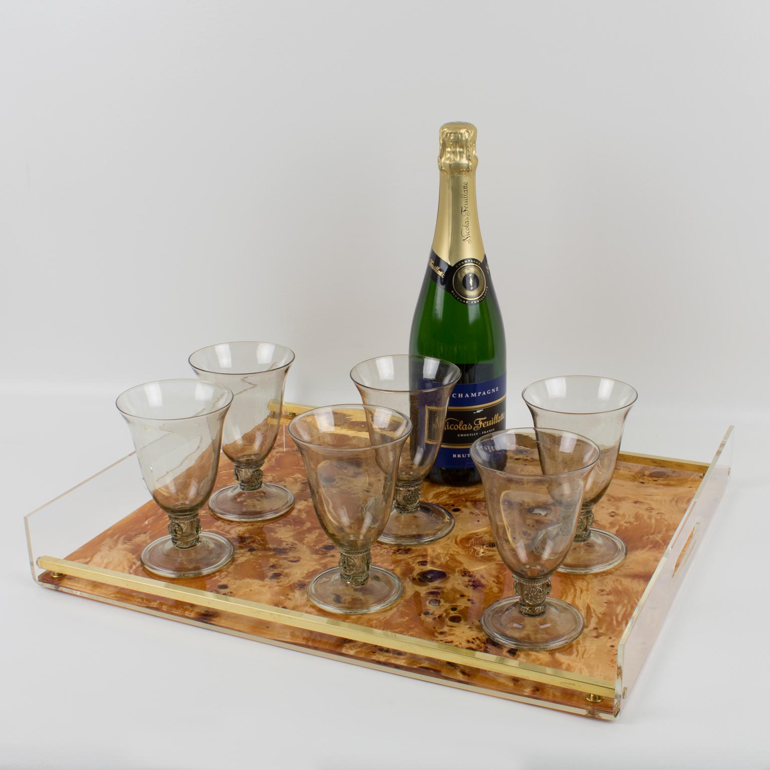 Mid-Century Modern Tommaso Barbi Lucite and Burl Wood Barware Tray, Italy 1970s
