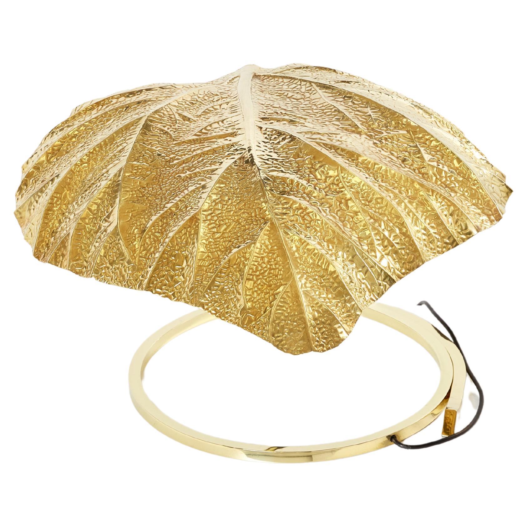 Tommaso Barbi for Bottega Gadda Rhubarb Brass Table Lamp, 1970s