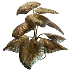 Tommaso Barbi for Bottega Gadda Rhubarb Leaves Floor Lamp, Italy, 1970s