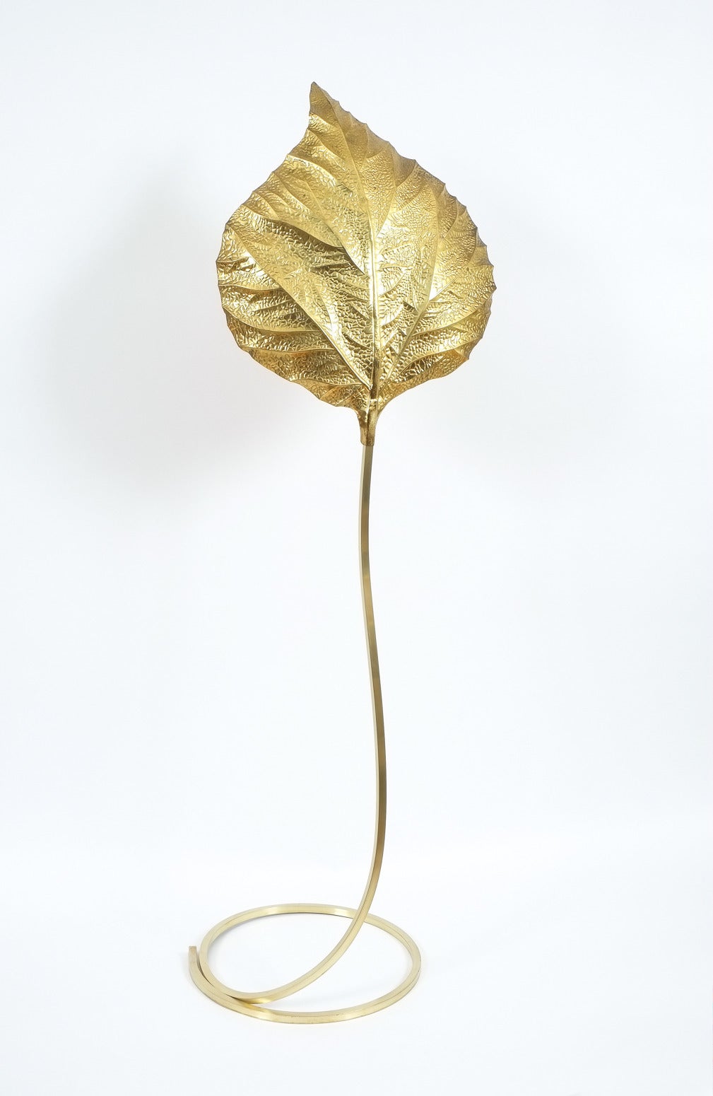 Elegant Tommaso Barbi brass rhubarb leaf floor lamp from 1970s, Italy.
The twisted shiny brass foot has been restored (sanded/polished); the light holds one single bulb with 100W max and has been newly rewired. It is in excellent condition, the