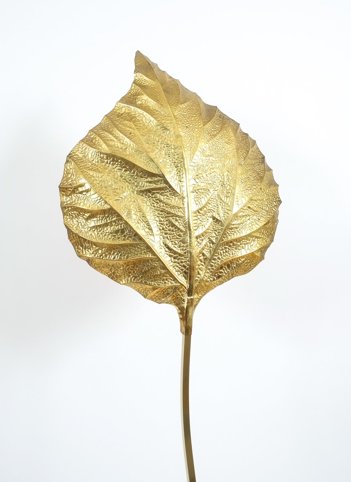 Polished Tommaso Barbi Giant Leaf Brass Floor Lamp Foglia