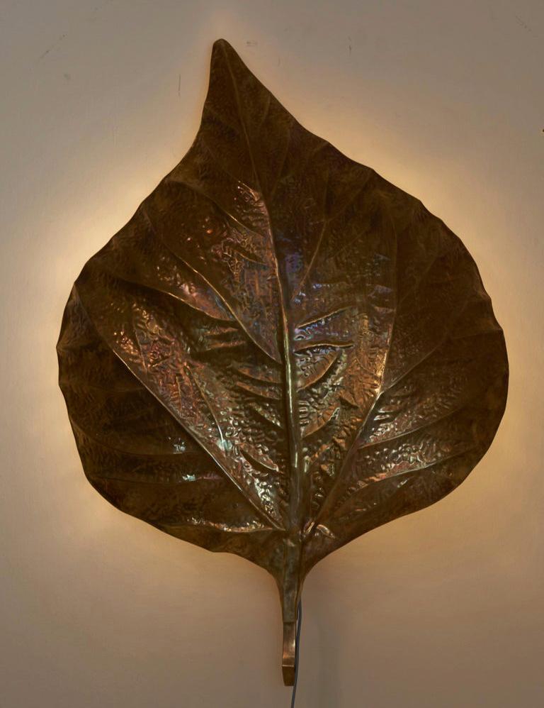 Wonderful huge rhaburb leaf wall lamp by the Italian designer Tommaso Barbi.
The lamp is made of brass and is icon of the 1970s design.
Very good condition.