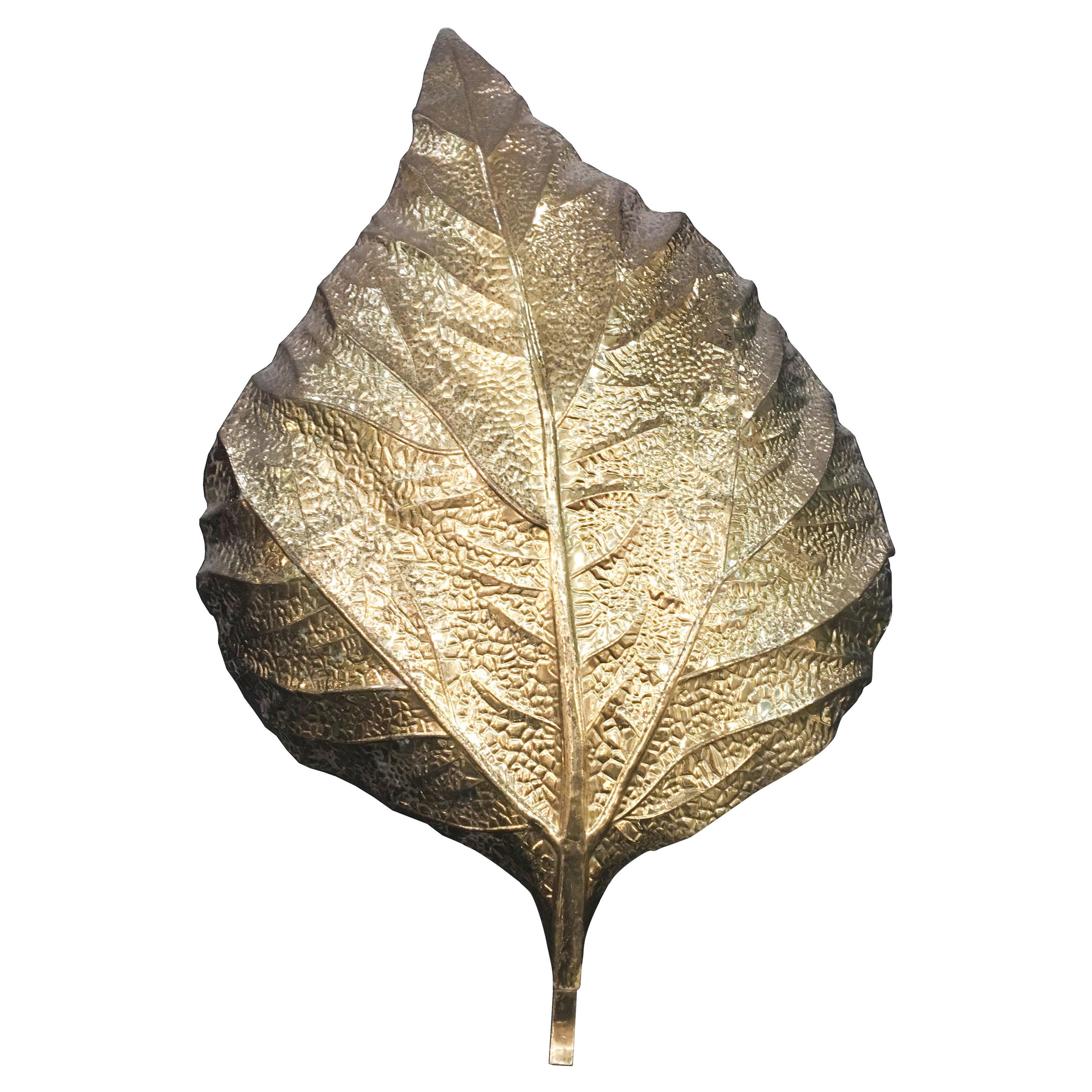 Tommaso Barbi Huge Rhaburb Leaf Brass Wall Light or Sconce