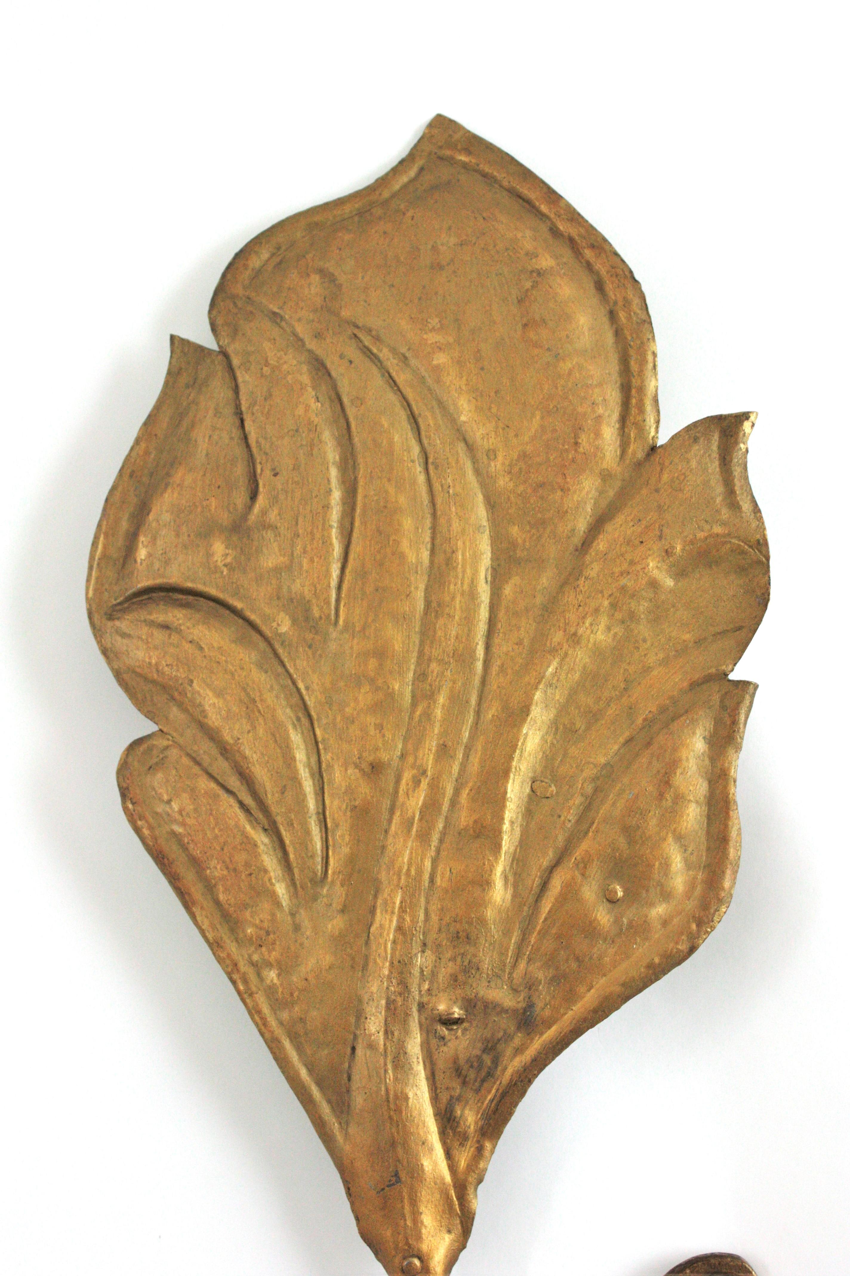 Tommaso Barbi Inspired Large Leaf Wall Light in Gilt Iron, Italy 1950s For Sale 6