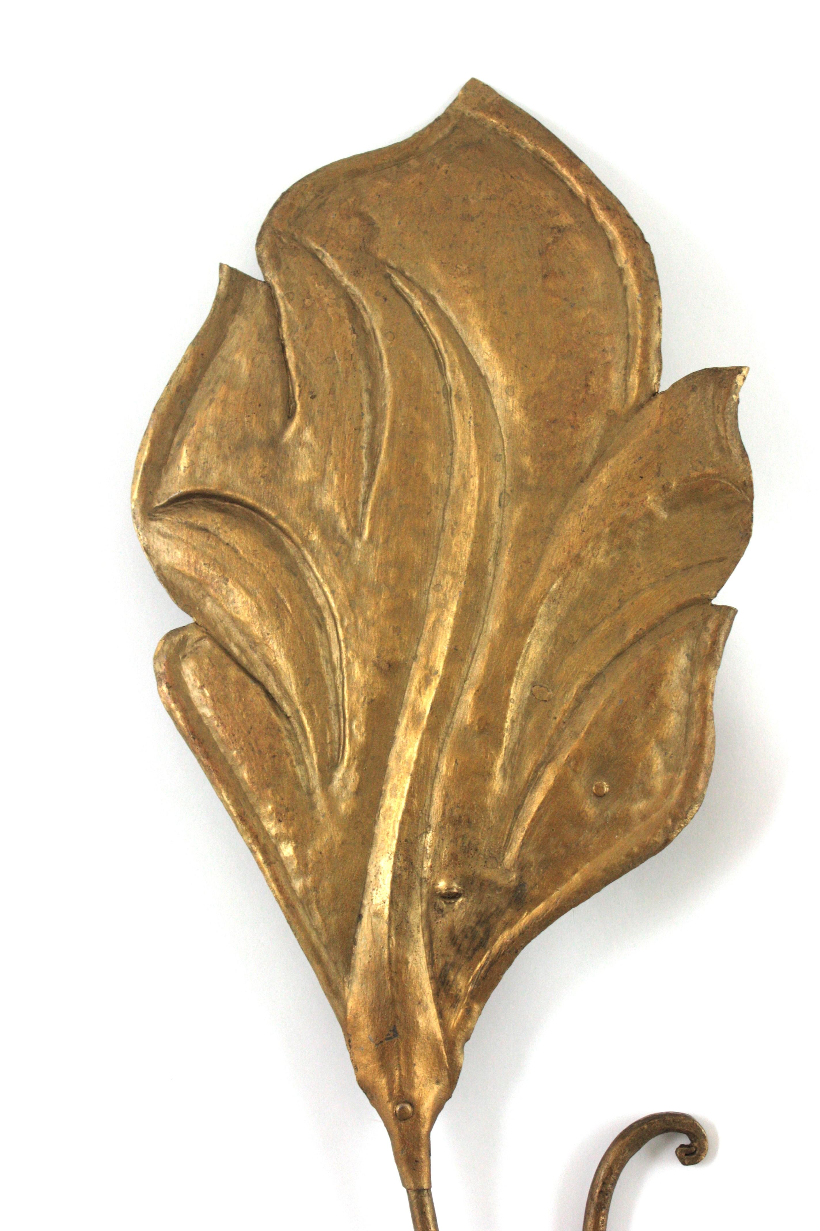 Mid-Century Modern Tommaso Barbi Inspired Large Leaf Wall Light in Gilt Iron, Italy 1950s For Sale