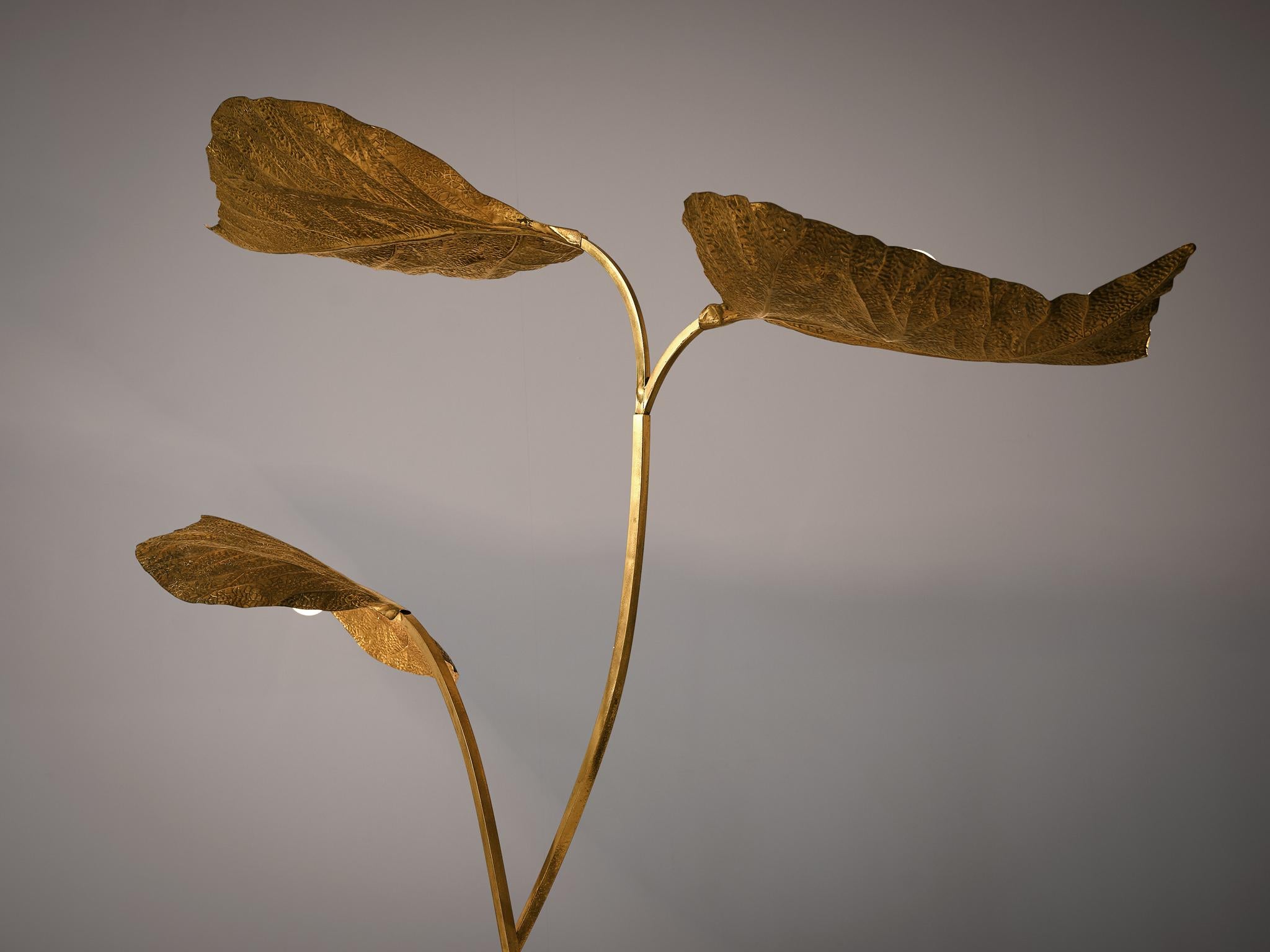 Italian Tommaso Barbi Organic Leaf Floor Lamp in Brass