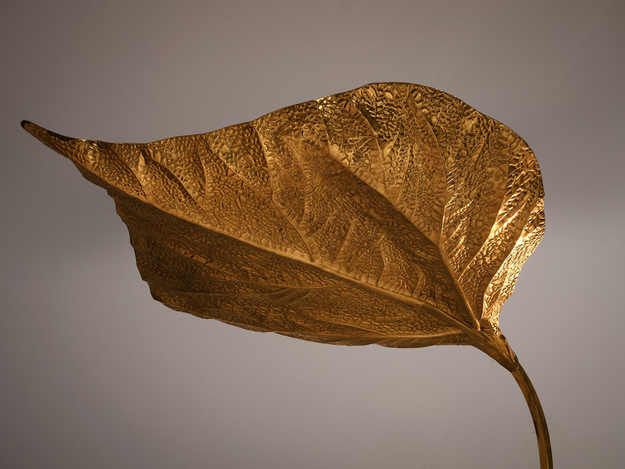 20th Century Tommaso Barbi Organic Leaf Floor Lamp in Brass