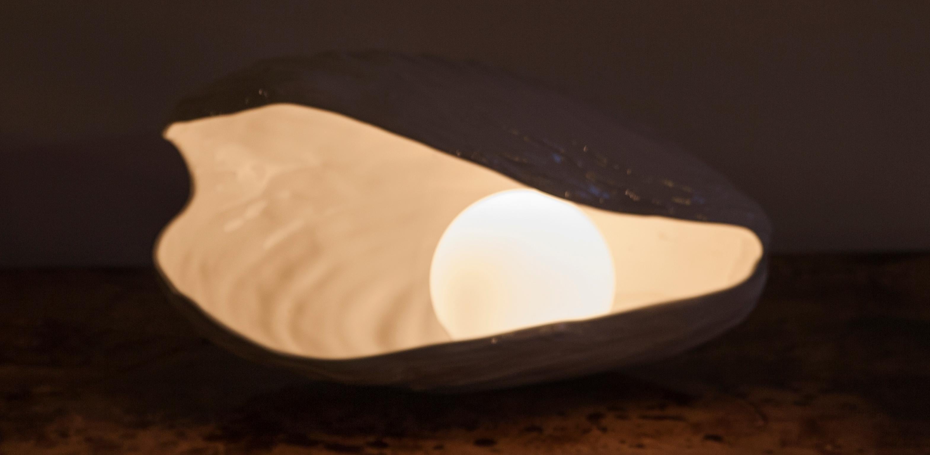 Tommaso Barbi Porcelain Clam Table Lamp 2