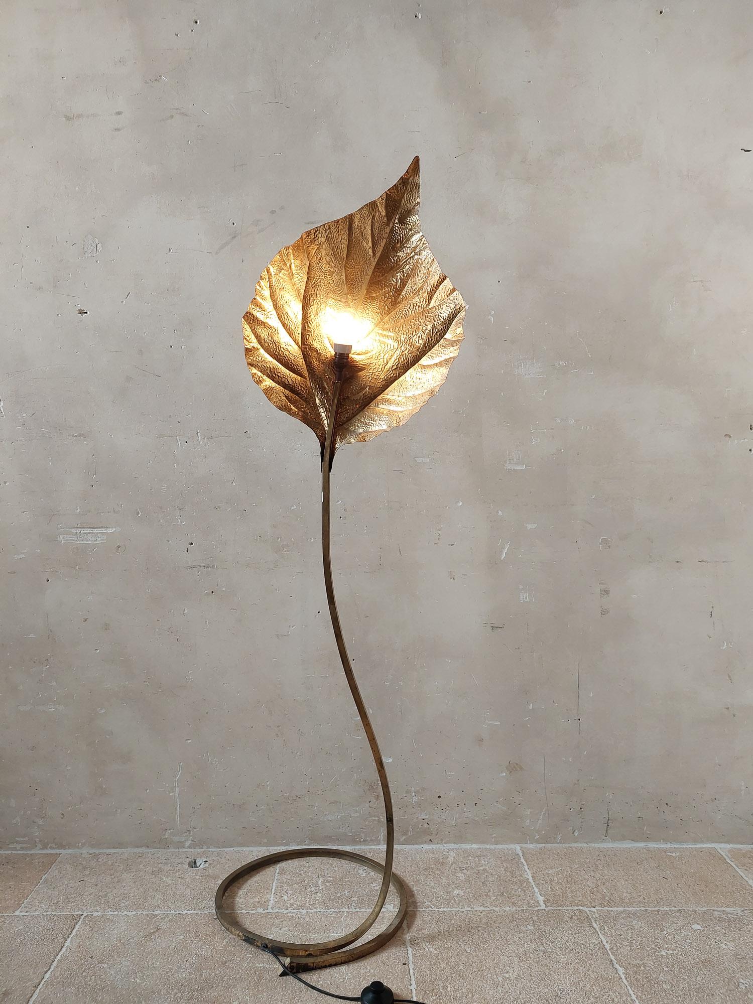 Tommaso Barbi rhubarb leaf brass floor lamp for Carlo Giorgi, Italy, 1970s 3