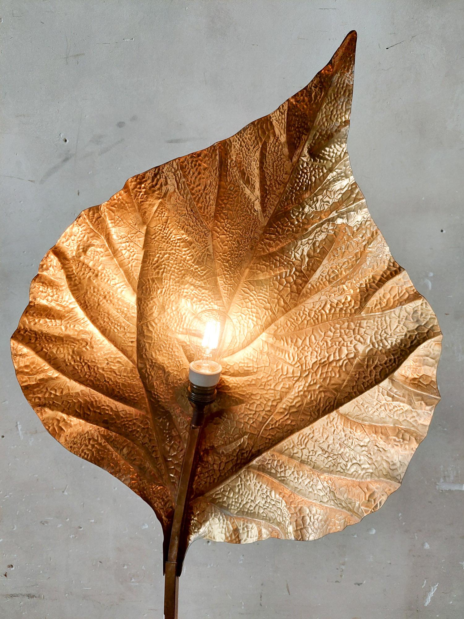 Tommaso Barbi rhubarb leaf brass floor lamp for Carlo Giorgi, Italy, 1970s 4