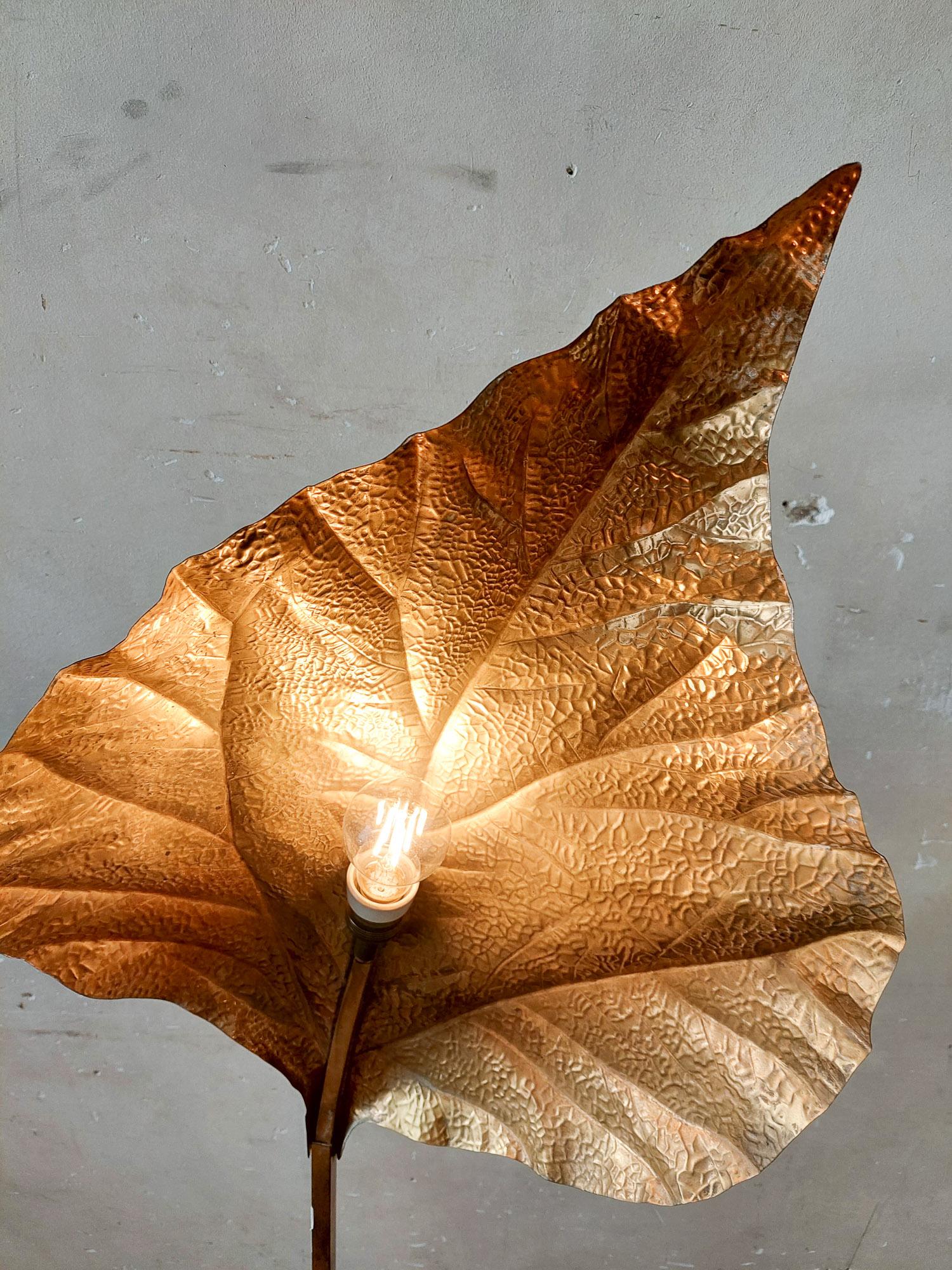 Tommaso Barbi rhubarb leaf brass floor lamp for Carlo Giorgi, Italy, 1970s 5